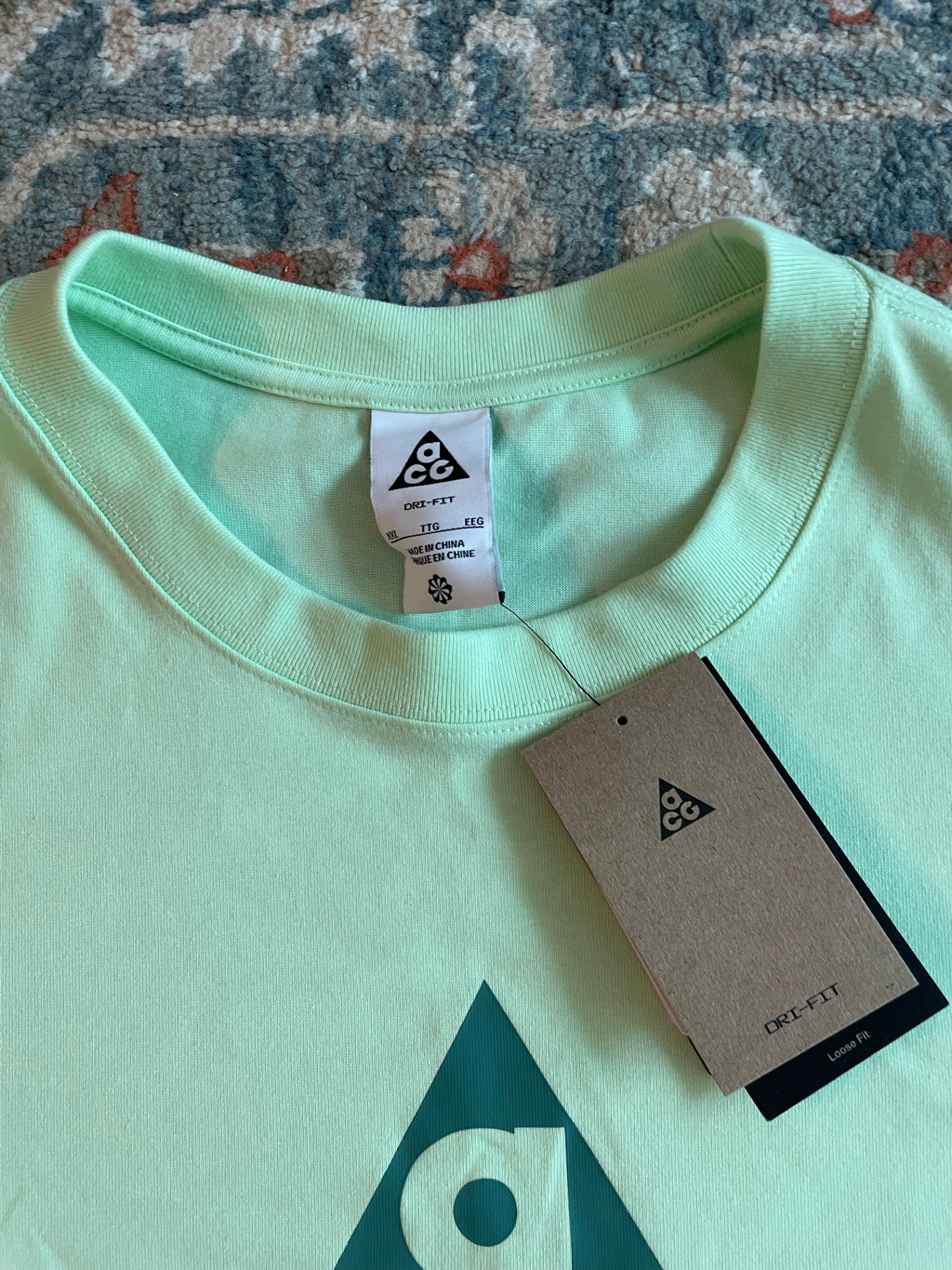 Nike ACG Dri-Fit T-Shirt Vapor Green - Asia 착용 스타일 - 3