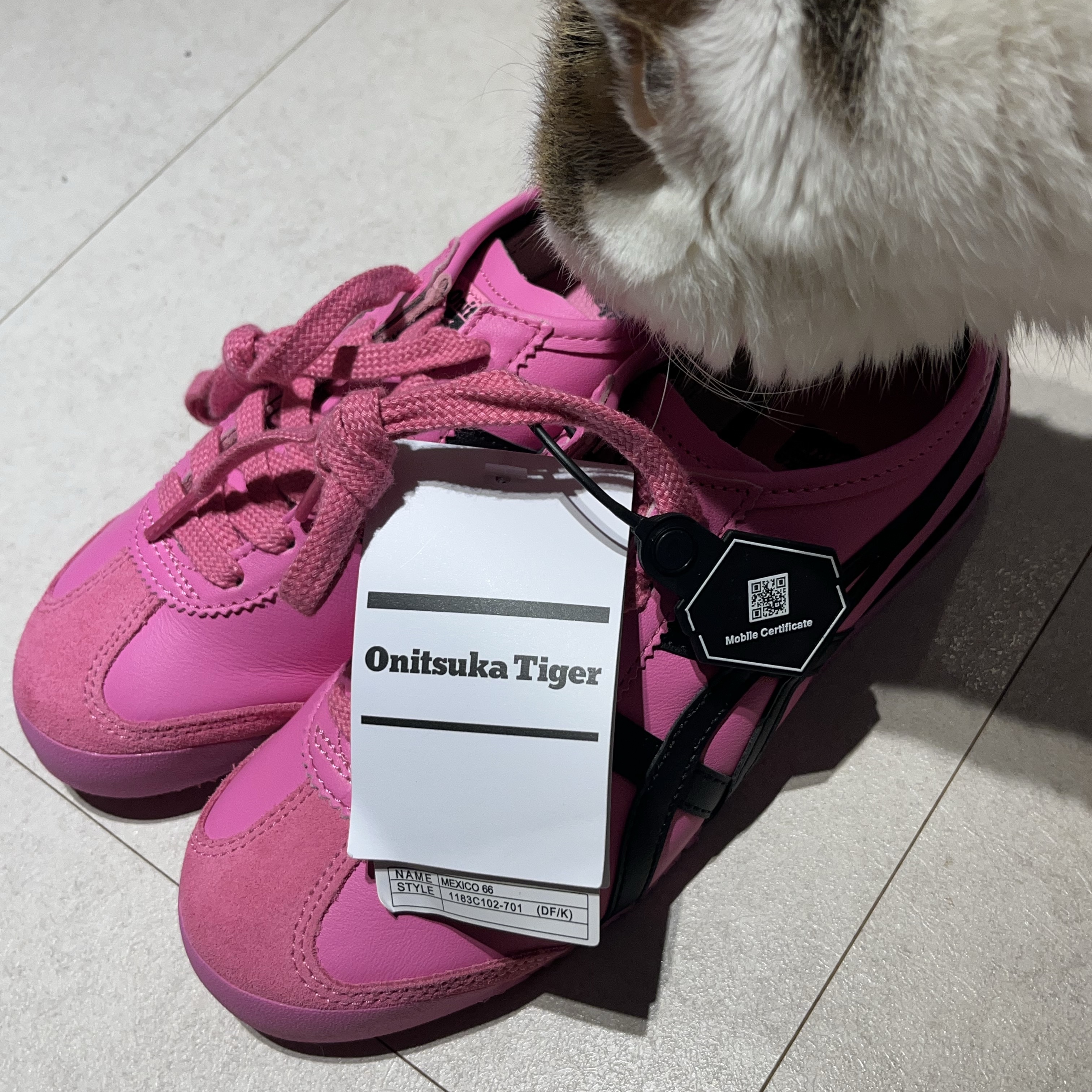 Onitsuka Tiger Mexico 66 Dragon Fruit Black 착용 스타일