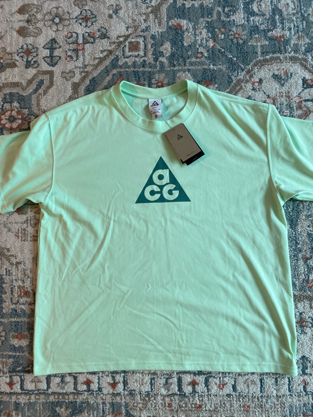 Nike ACG Dri-Fit T-Shirt Vapor Green - Asia 착용 스타일 - 1