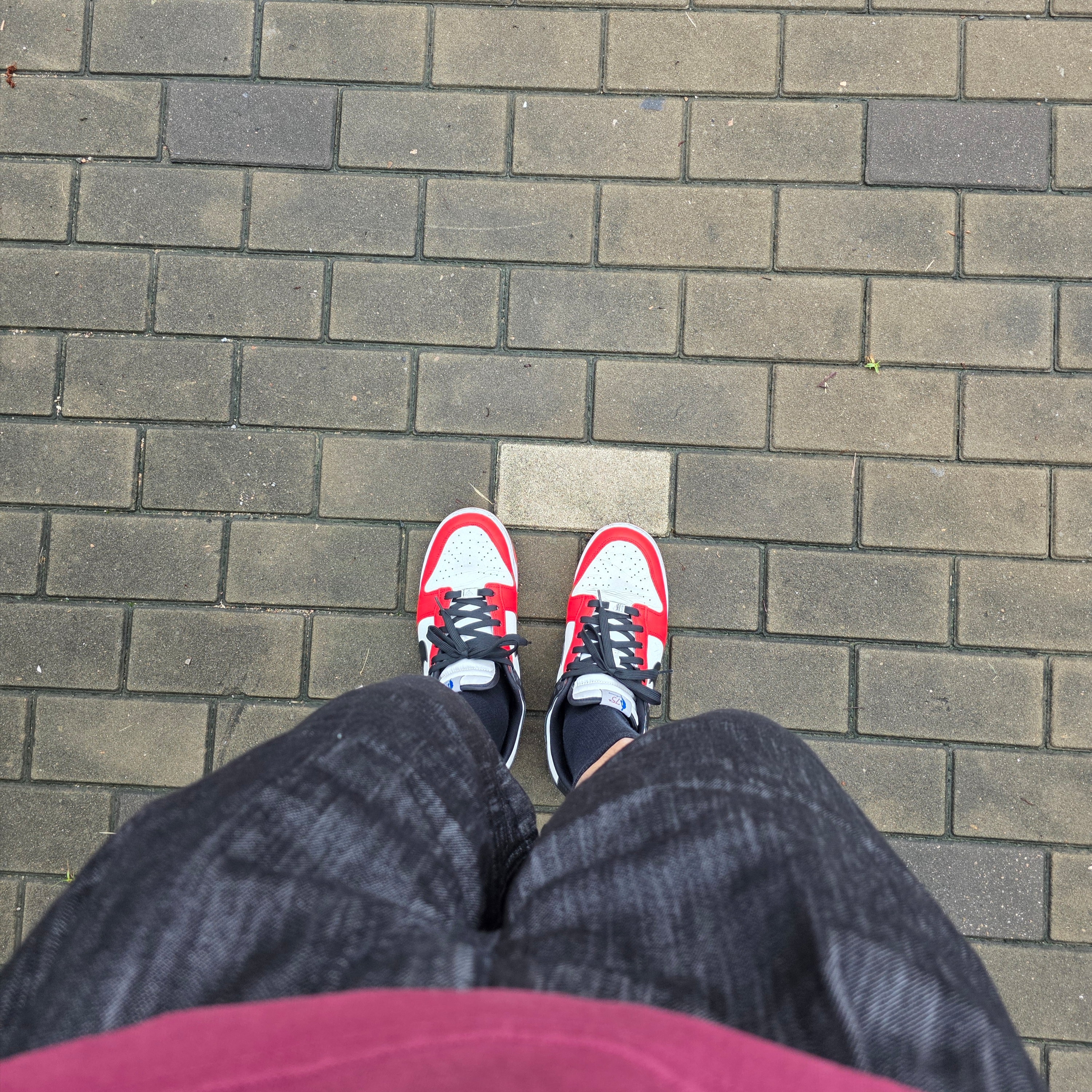 Nike x NBA Dunk Low Retro EMB Black and Chile Red 착용 스타일