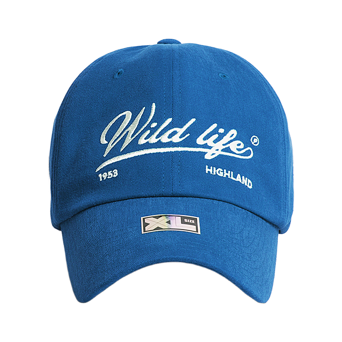 플래토 빅사이즈 볼캡 와일드 라이프 블루(PLATEAU Big Size Ballcap XL Wild Life Blue)