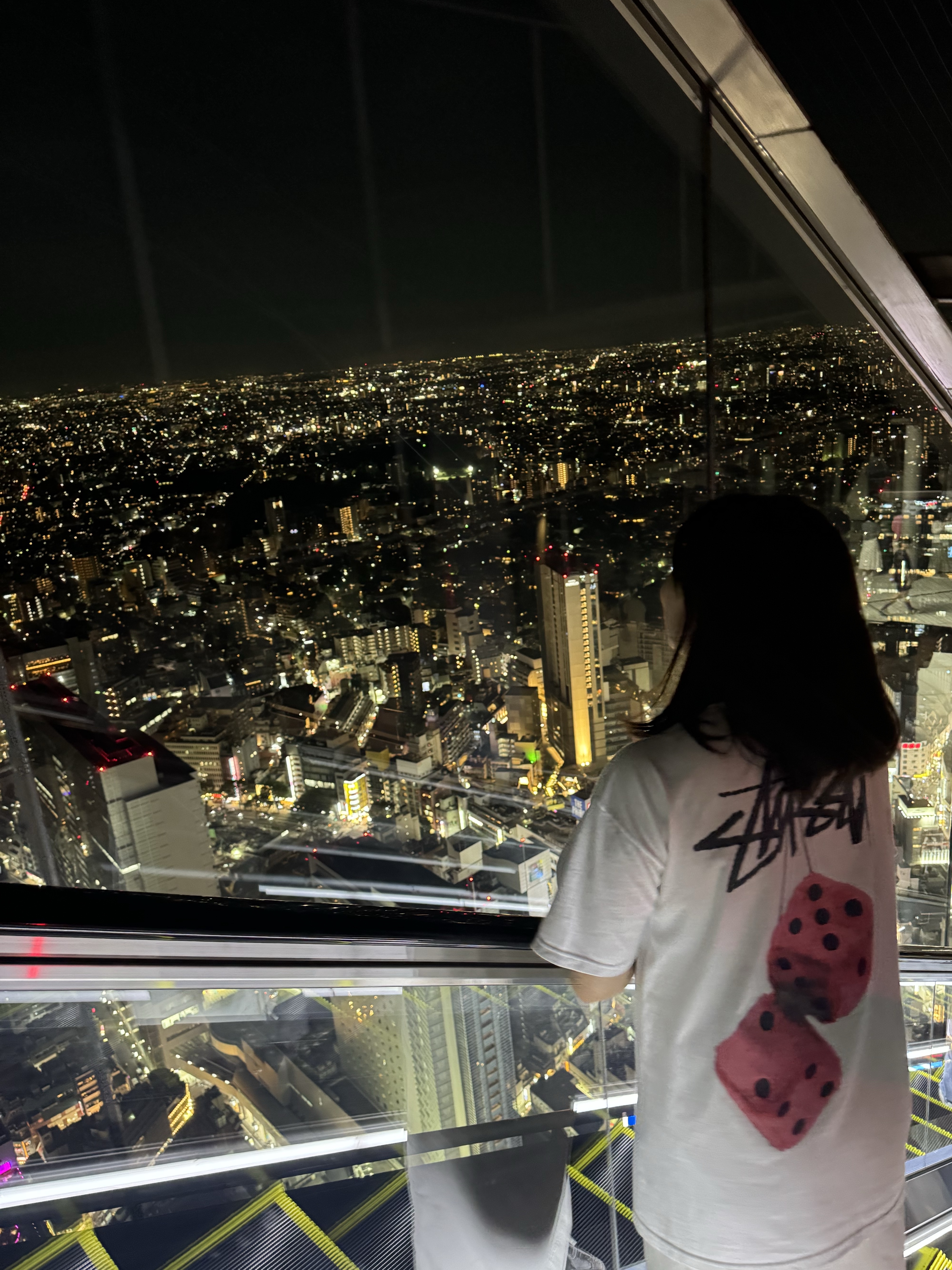 Stussy Fuzzy Dice T-Shirt White 착용 스타일 - 2