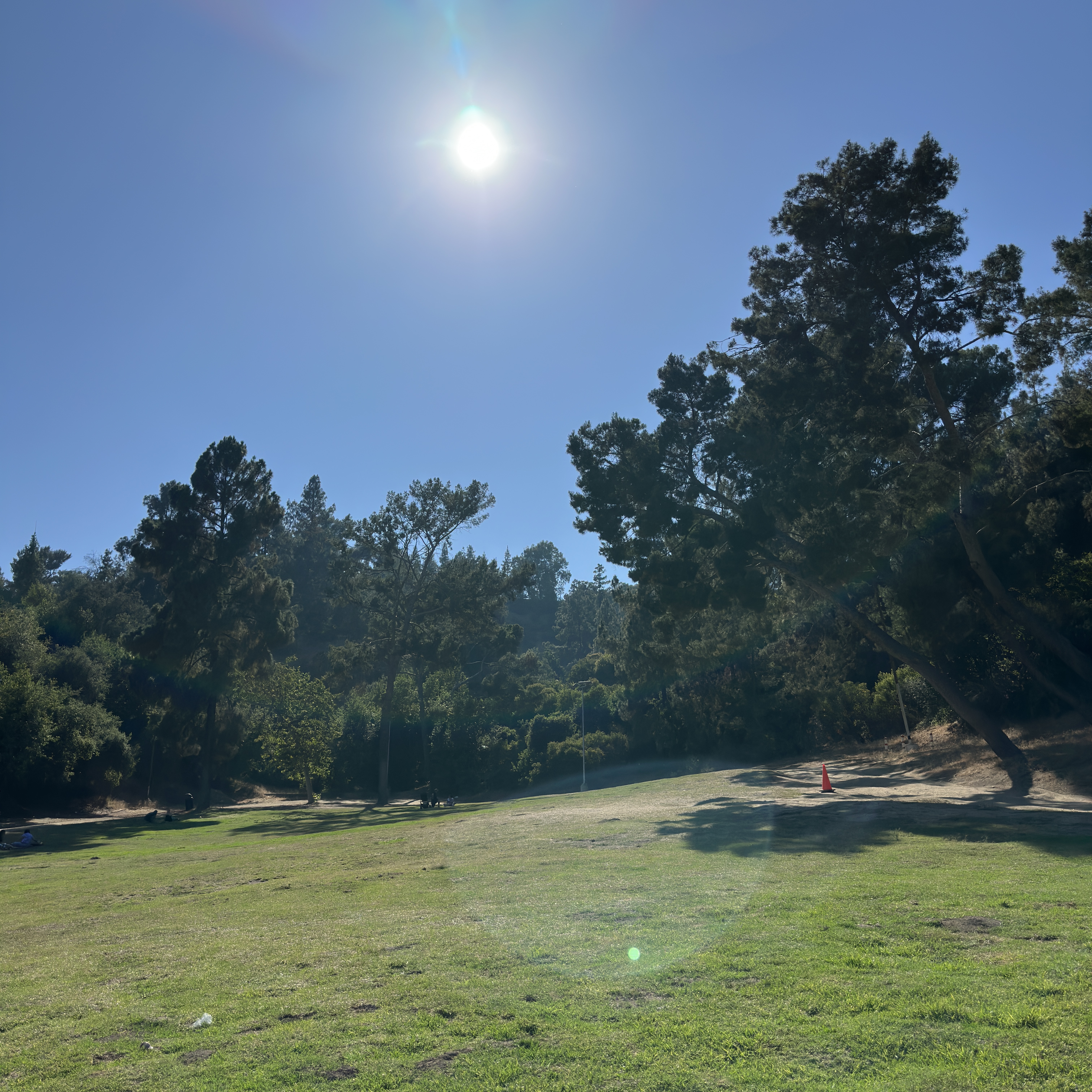 ์์
์ด๋ฏธ์ง