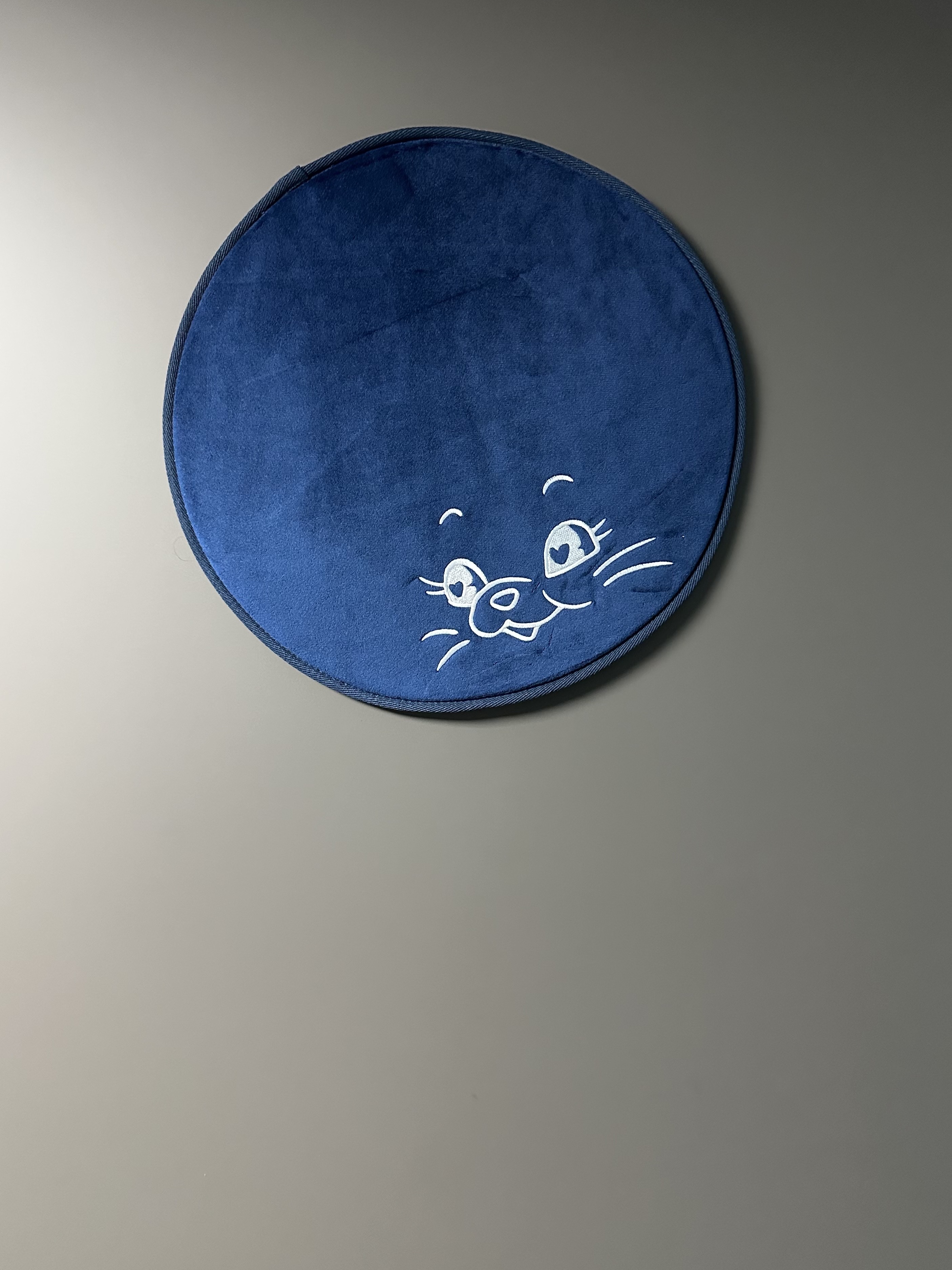 NewJeans Tokki Merchandise Sitting Cushion Navy 착용 스타일