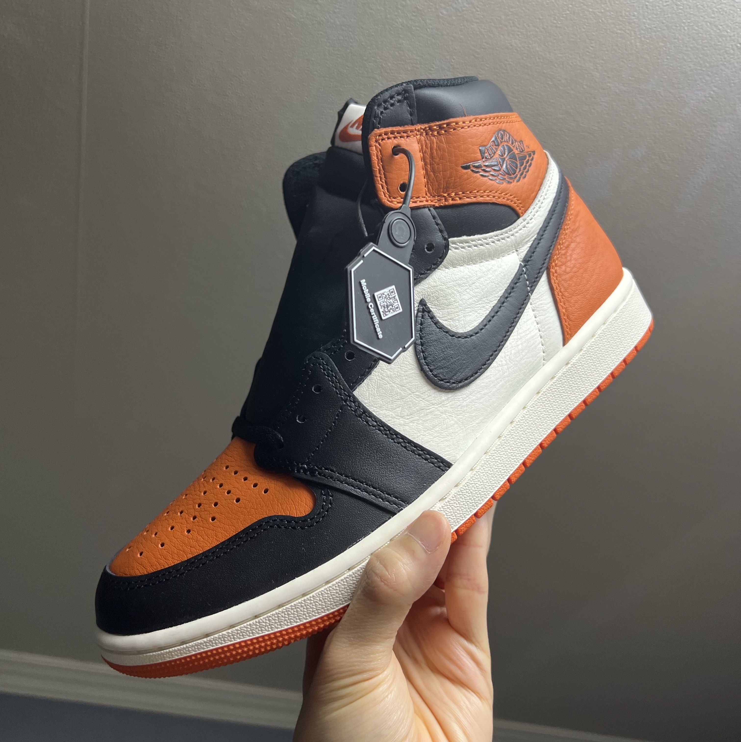Jordan 1 Retro High OG Shattered Backboard 착용 스타일