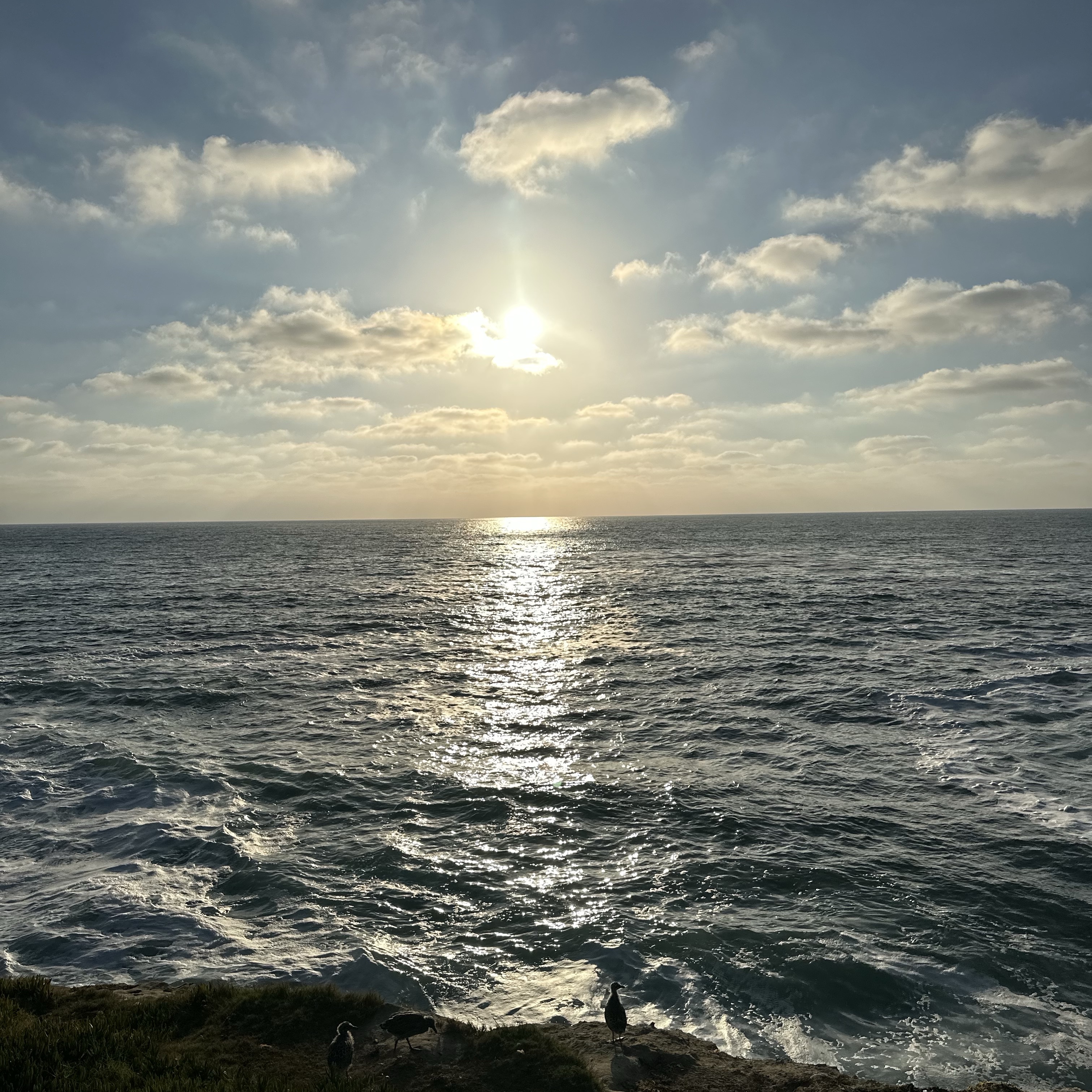 ์์
์ด๋ฏธ์ง