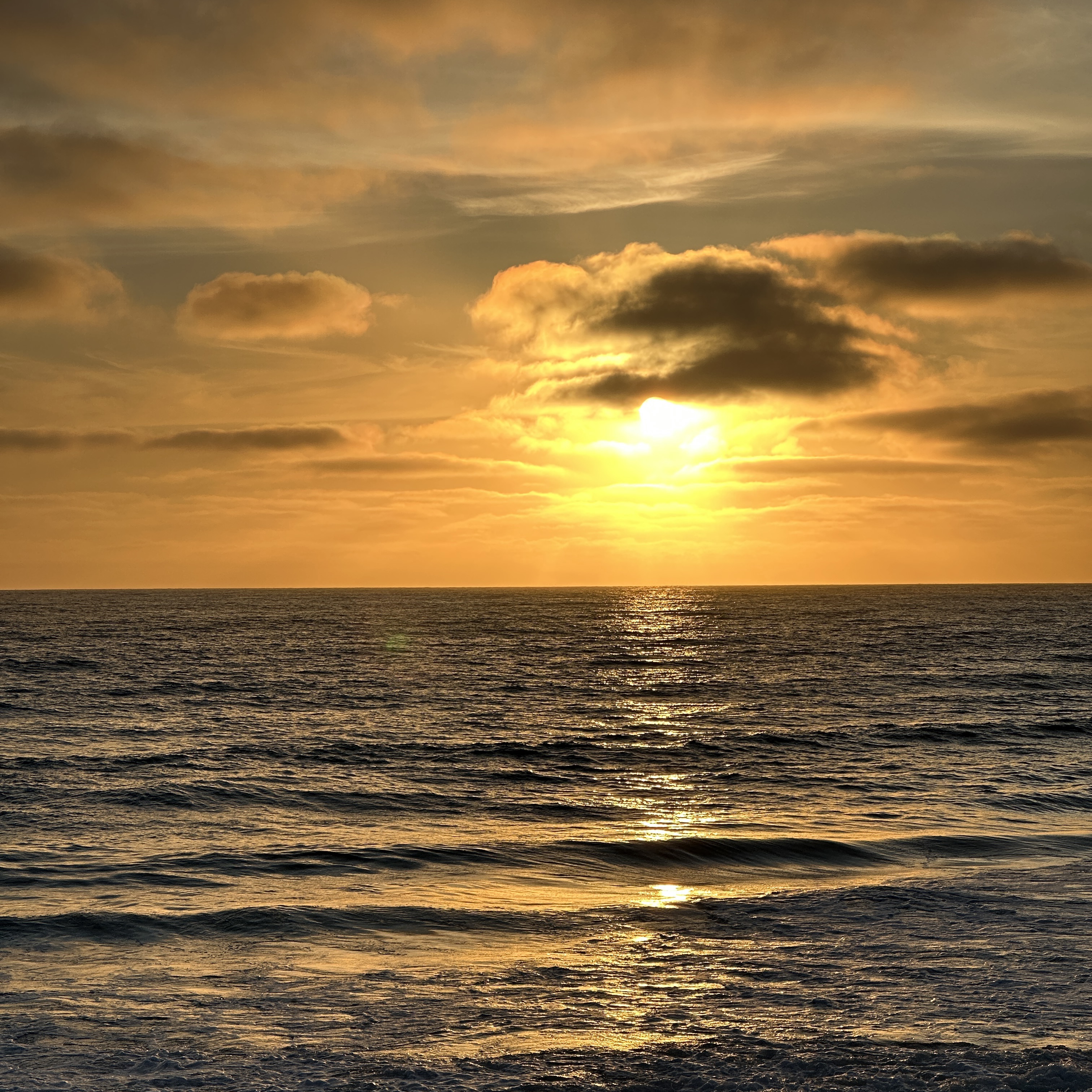 ์์
์ด๋ฏธ์ง