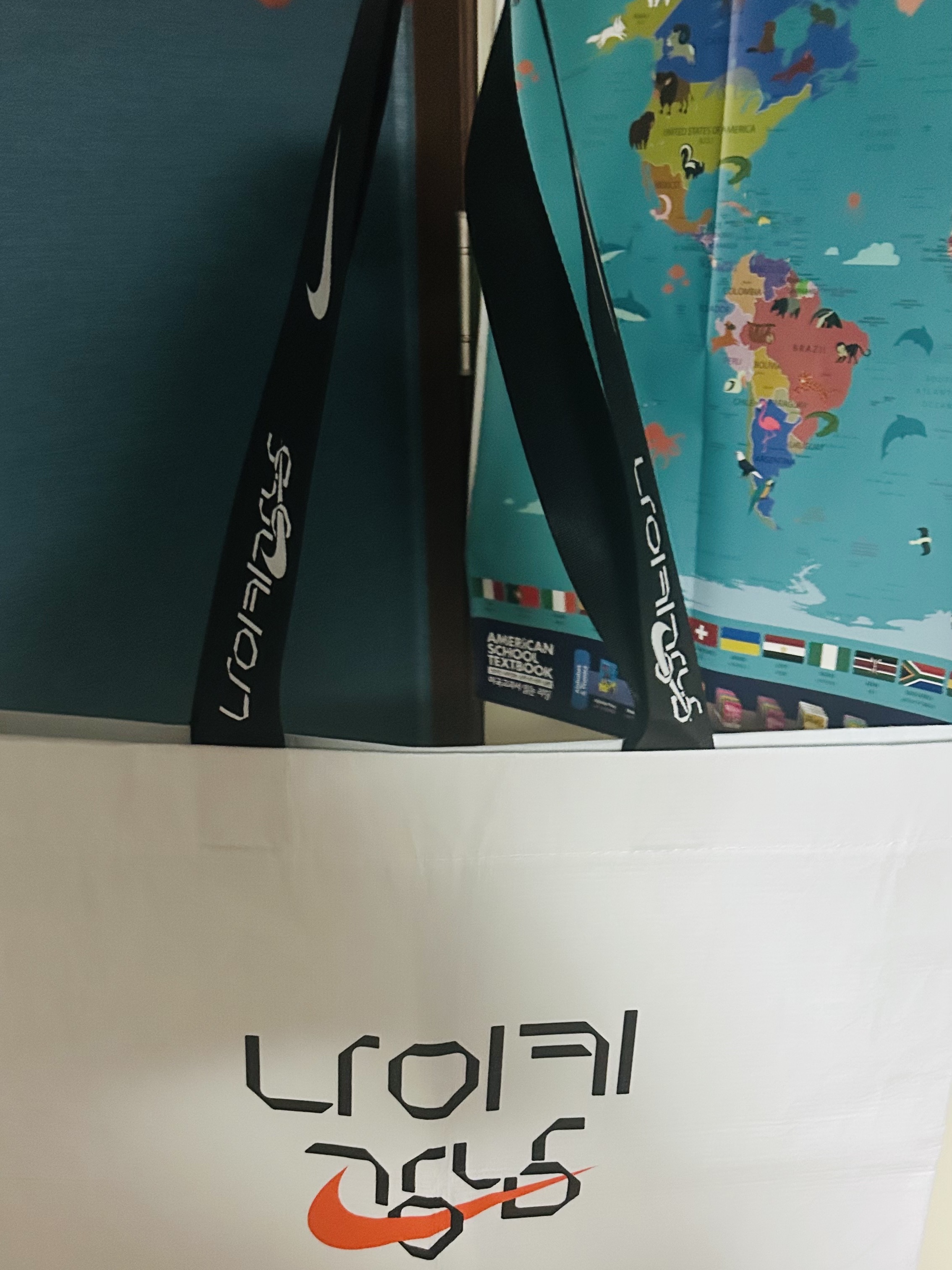 Nike Nike Gangnam Opening Anniversary Reusable Bag 착용 스타일