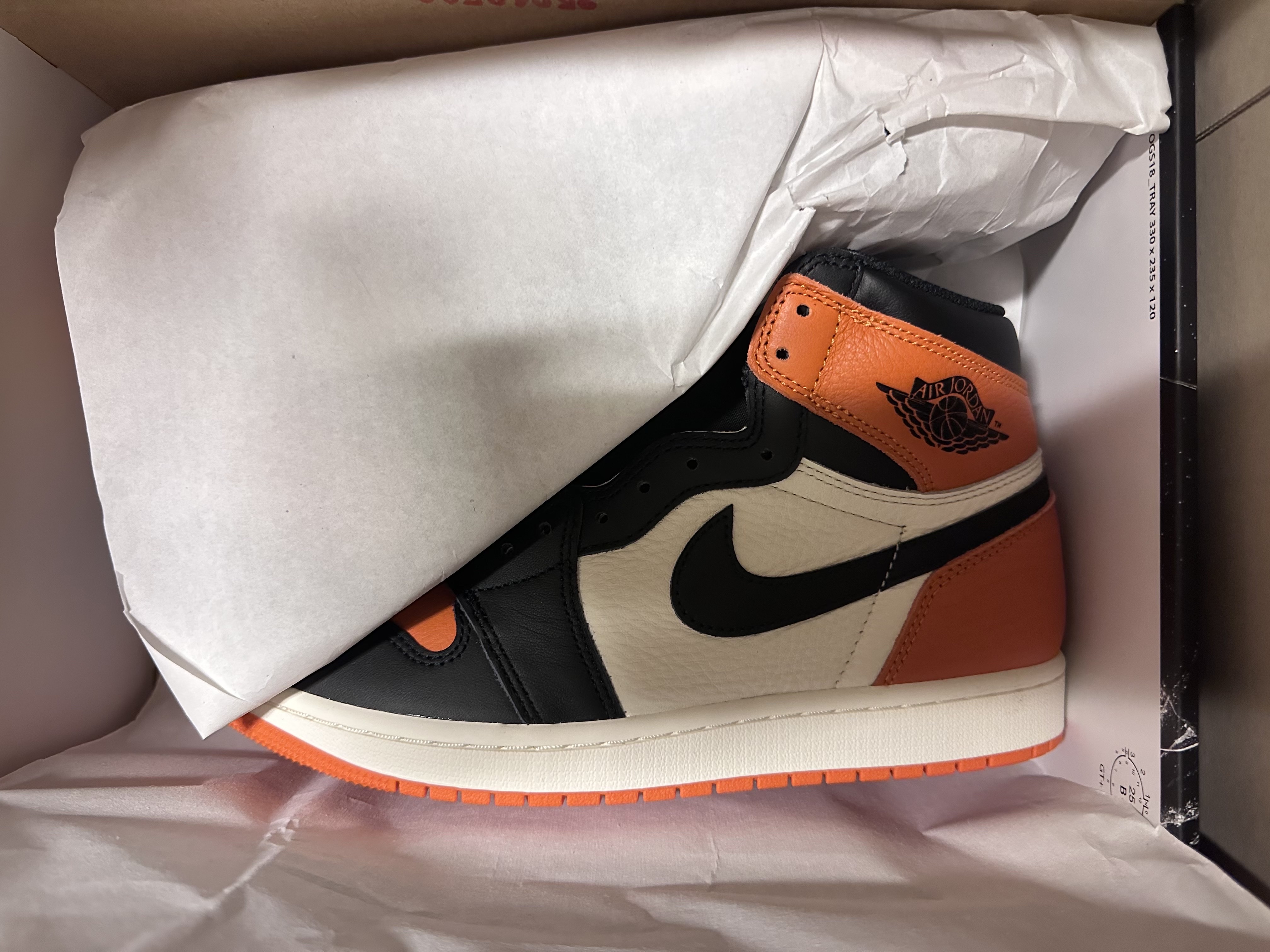 Jordan 1 Retro High OG Shattered Backboard 착용 스타일
