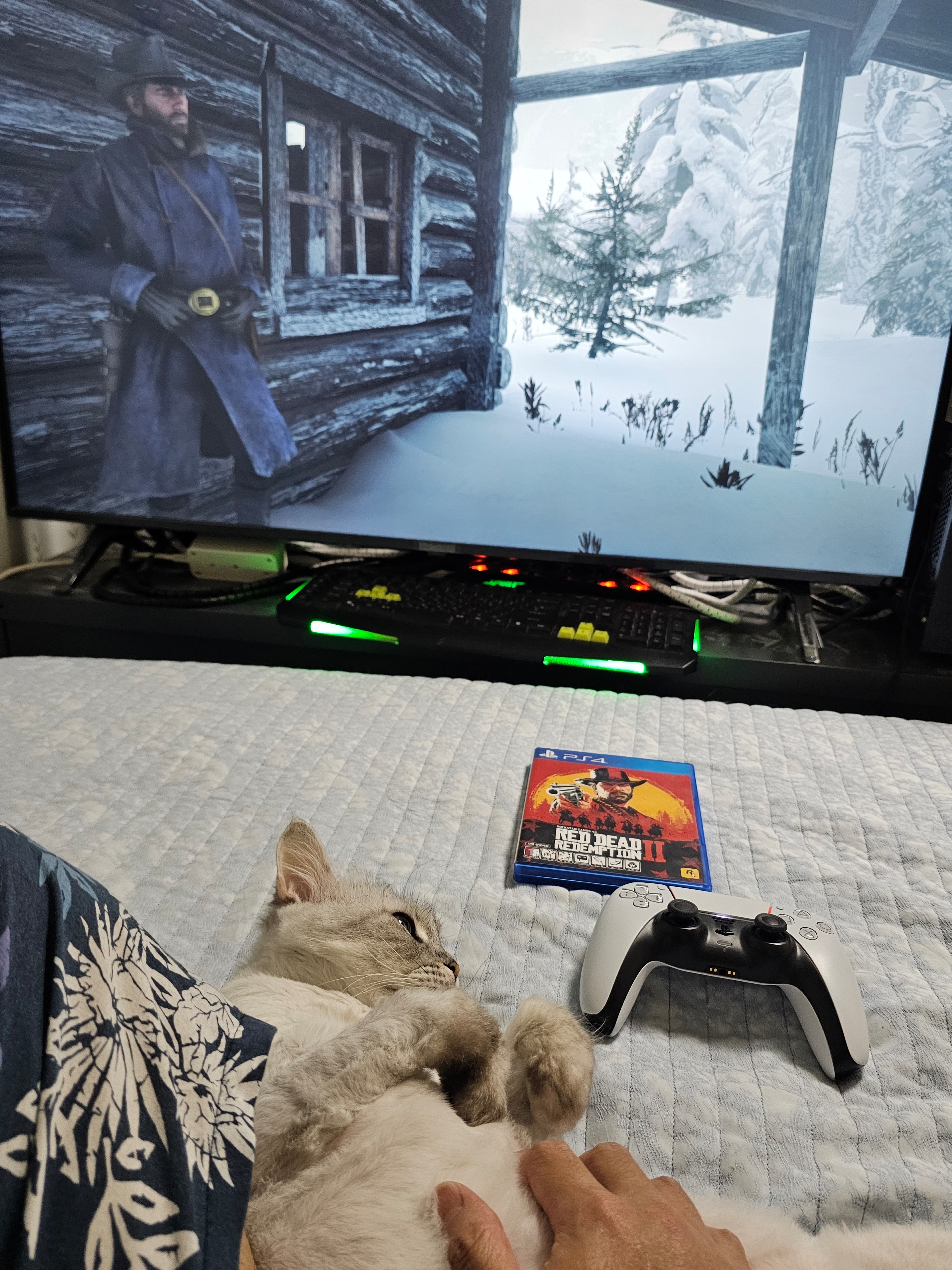 PlayStation 4 Red Dead Redemption 2 착용 스타일