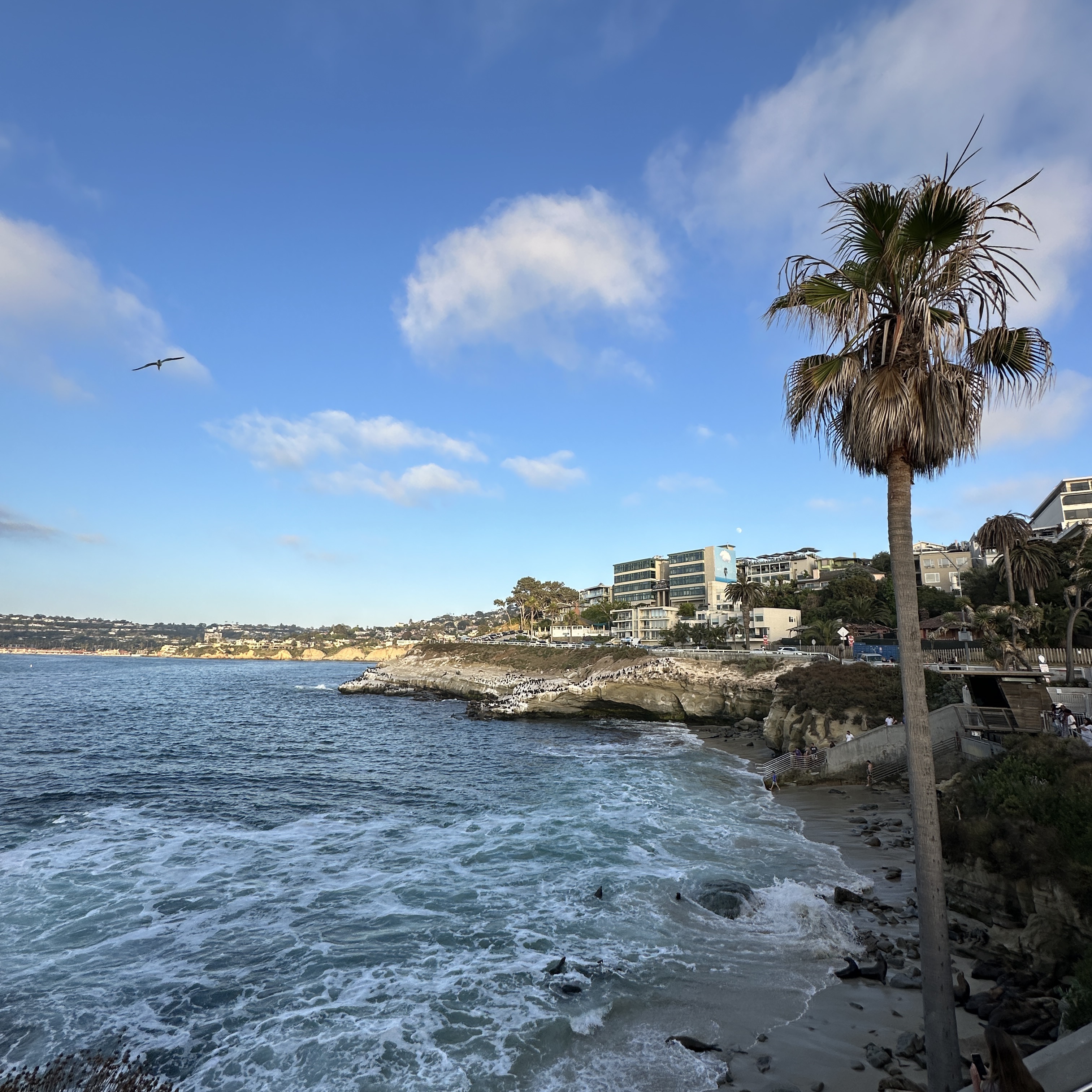 ์์
์ด๋ฏธ์ง