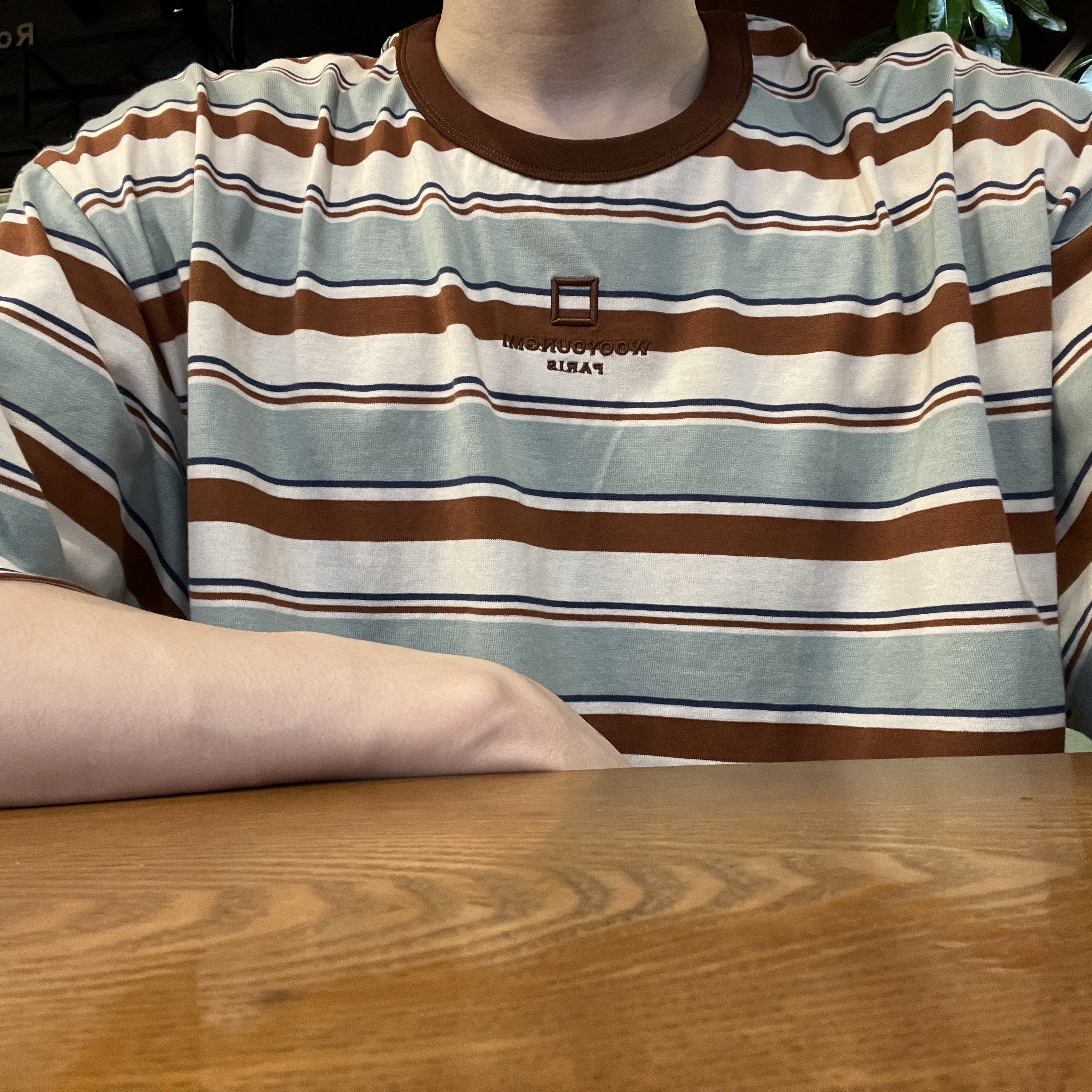 Wooyoungmi Stripe  T-Shirt Mint - 25SS 착용 스타일