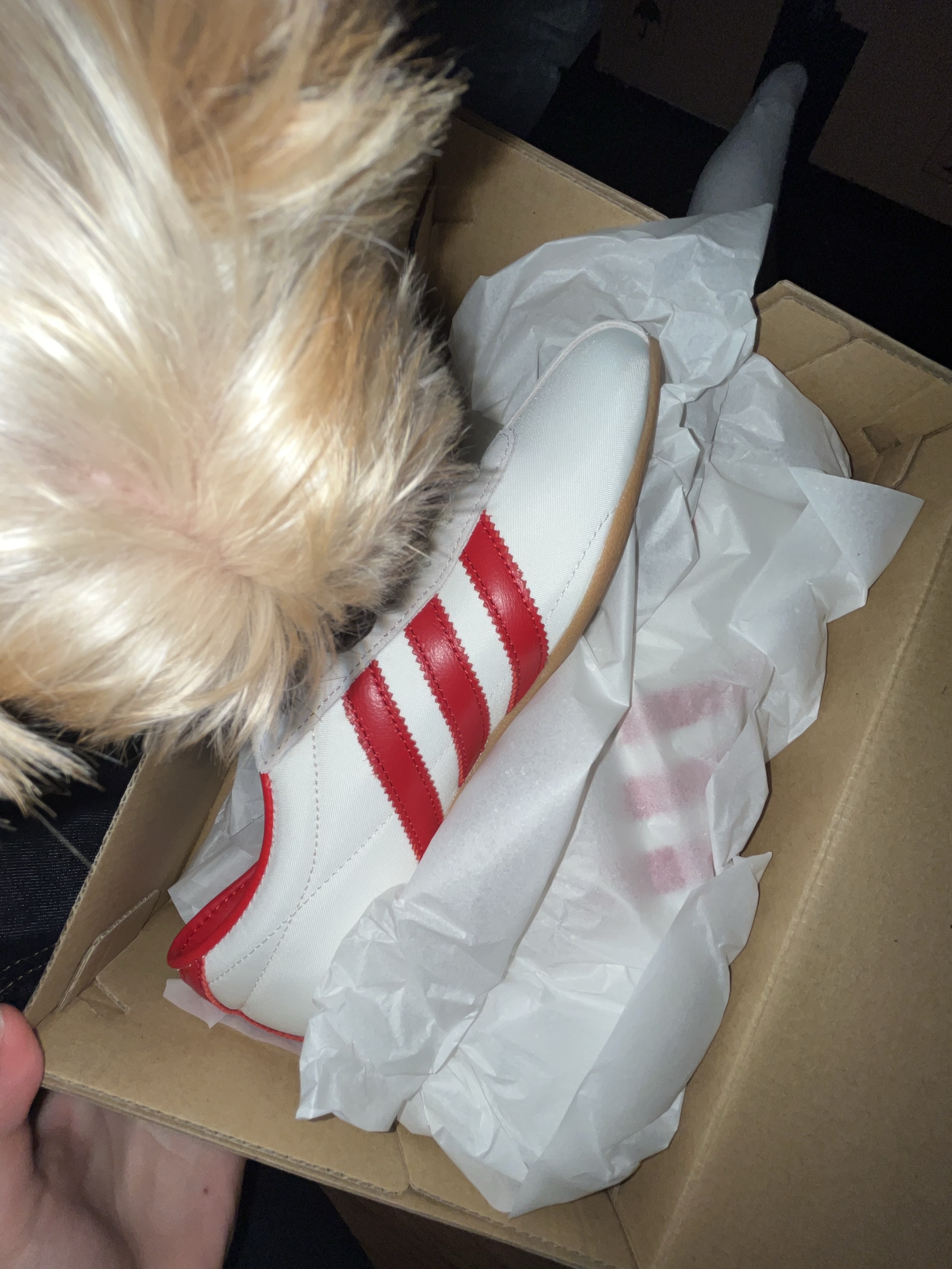 (W) Adidas Tokyo Off White Better Scarlet 착용 스타일 - 2