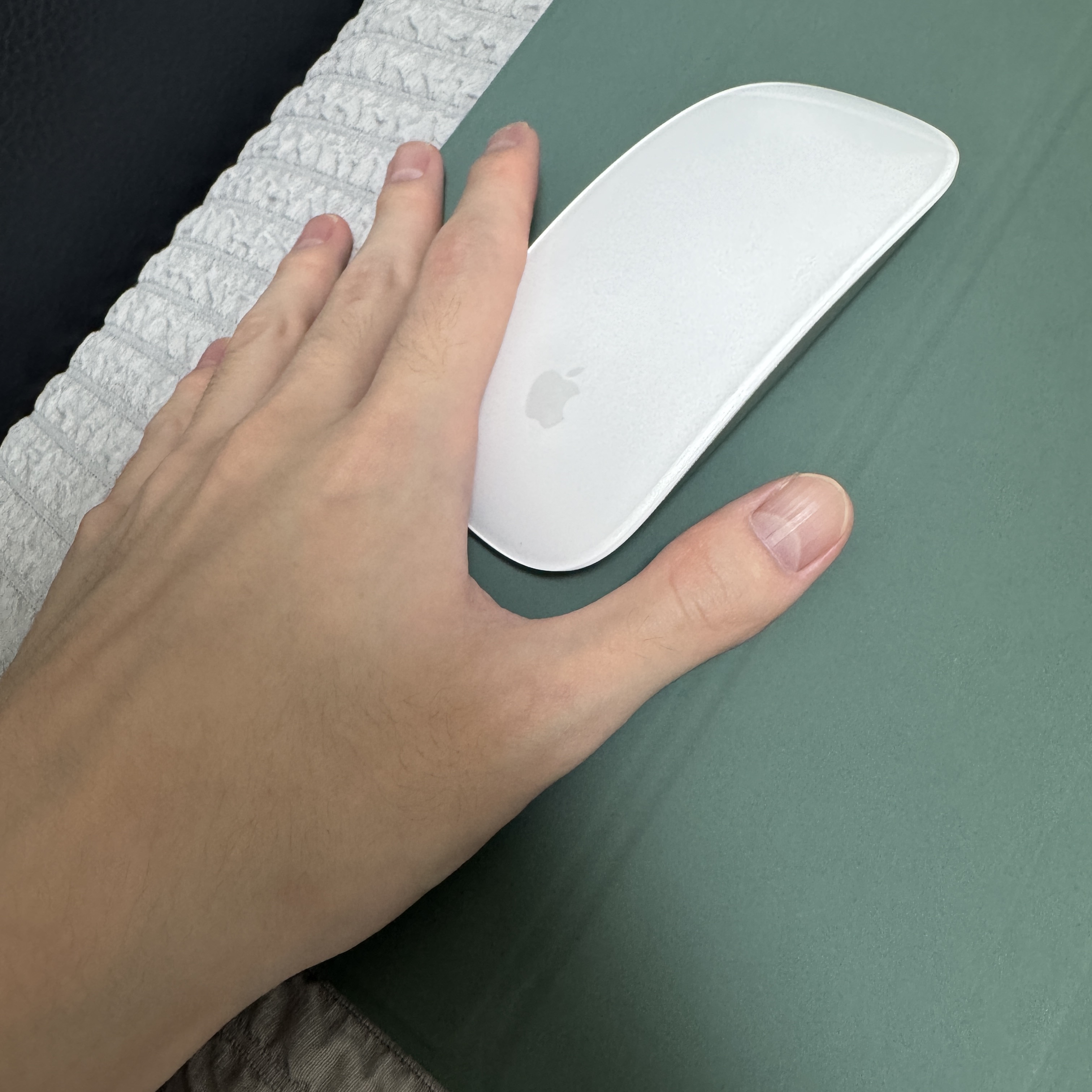 Apple Magic Mouse Multi-Touch Surface White (Korean Ver.) 착용 스타일