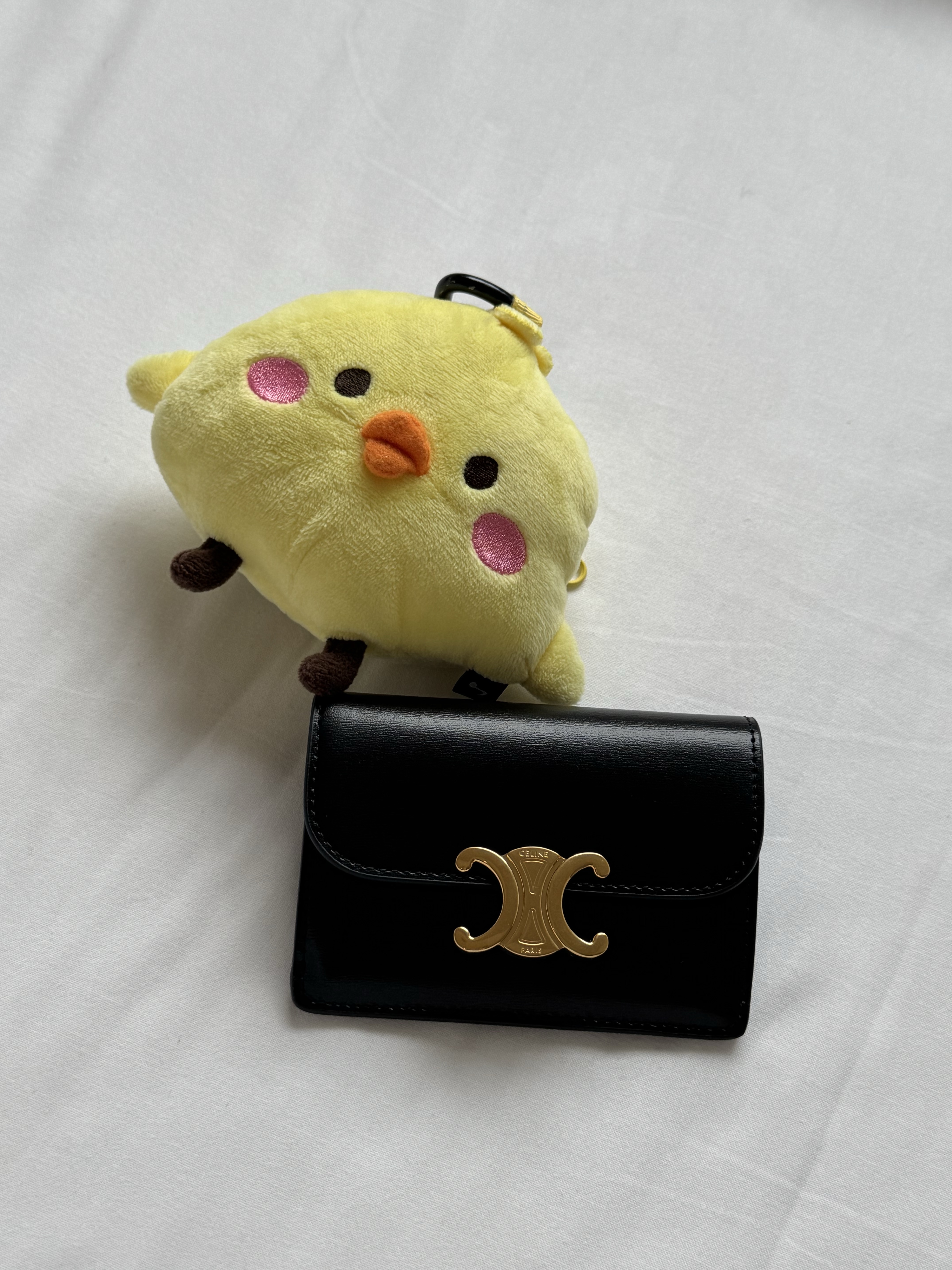 Celine Card Holder with Flap in Shiny Calfskin Black 착용 스타일 - 2