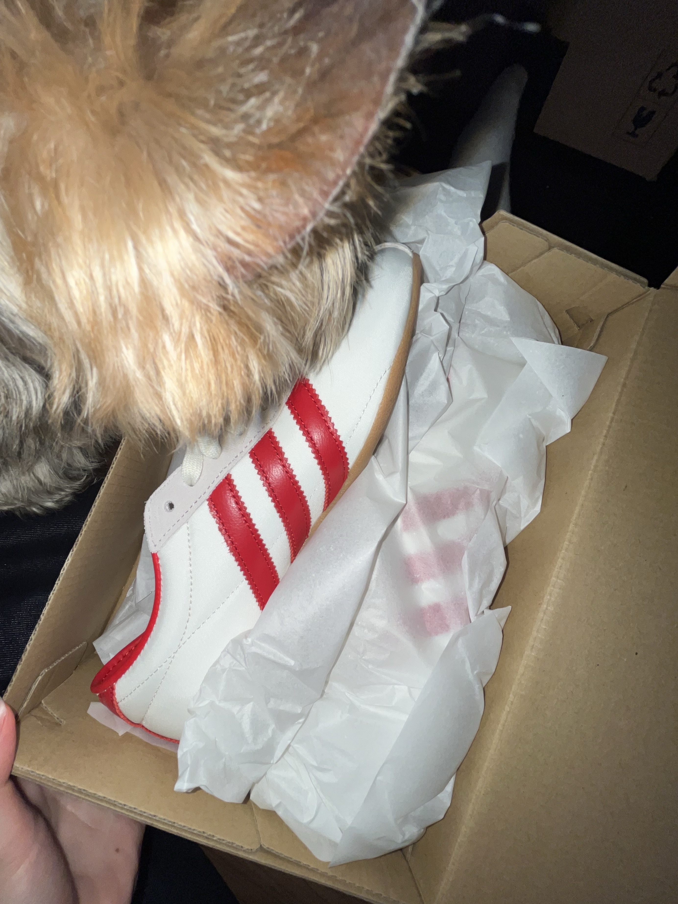 (W) Adidas Tokyo Off White Better Scarlet 착용 스타일 - 1