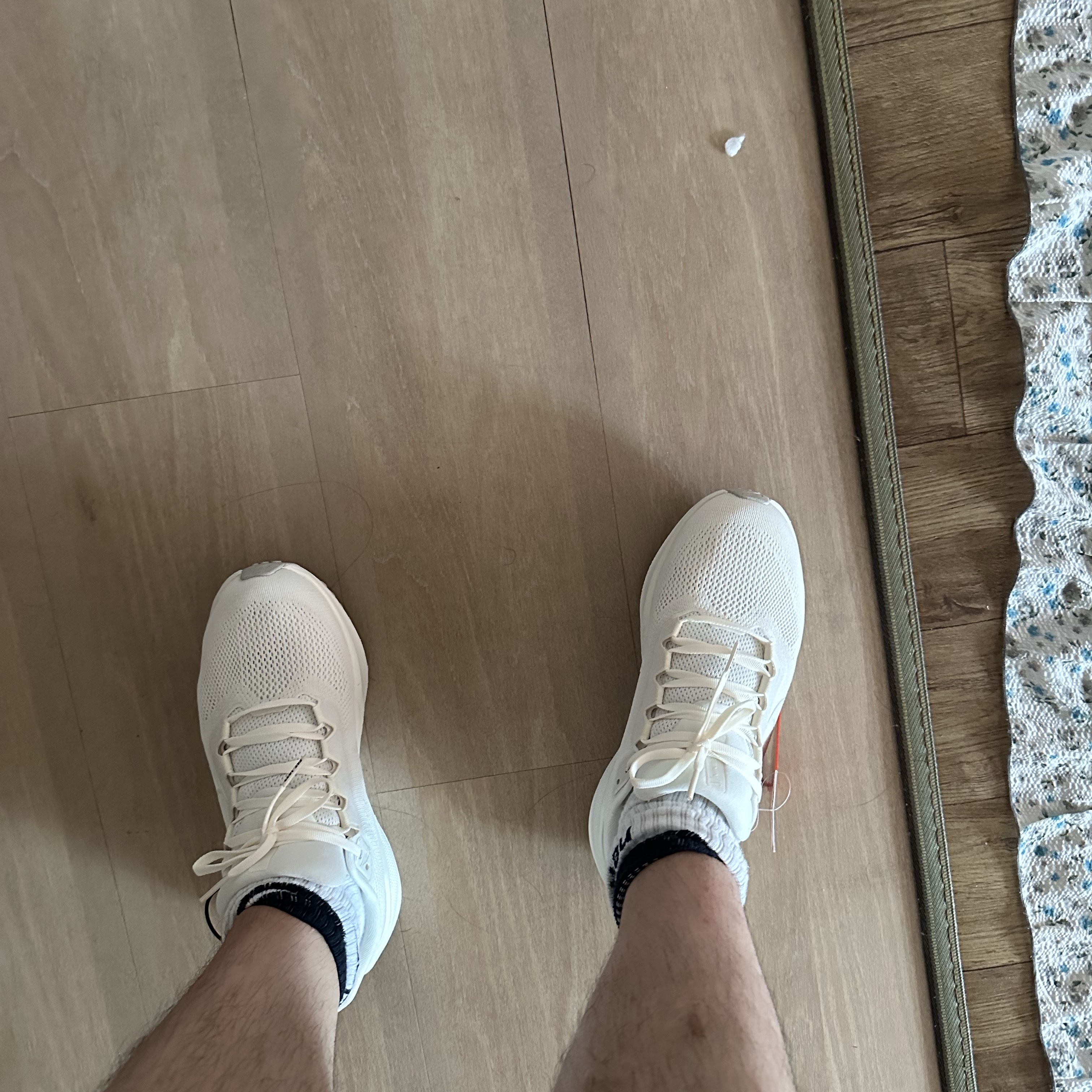 Nike Pegasus 41 Sail Coconut Milk 착용 스타일
