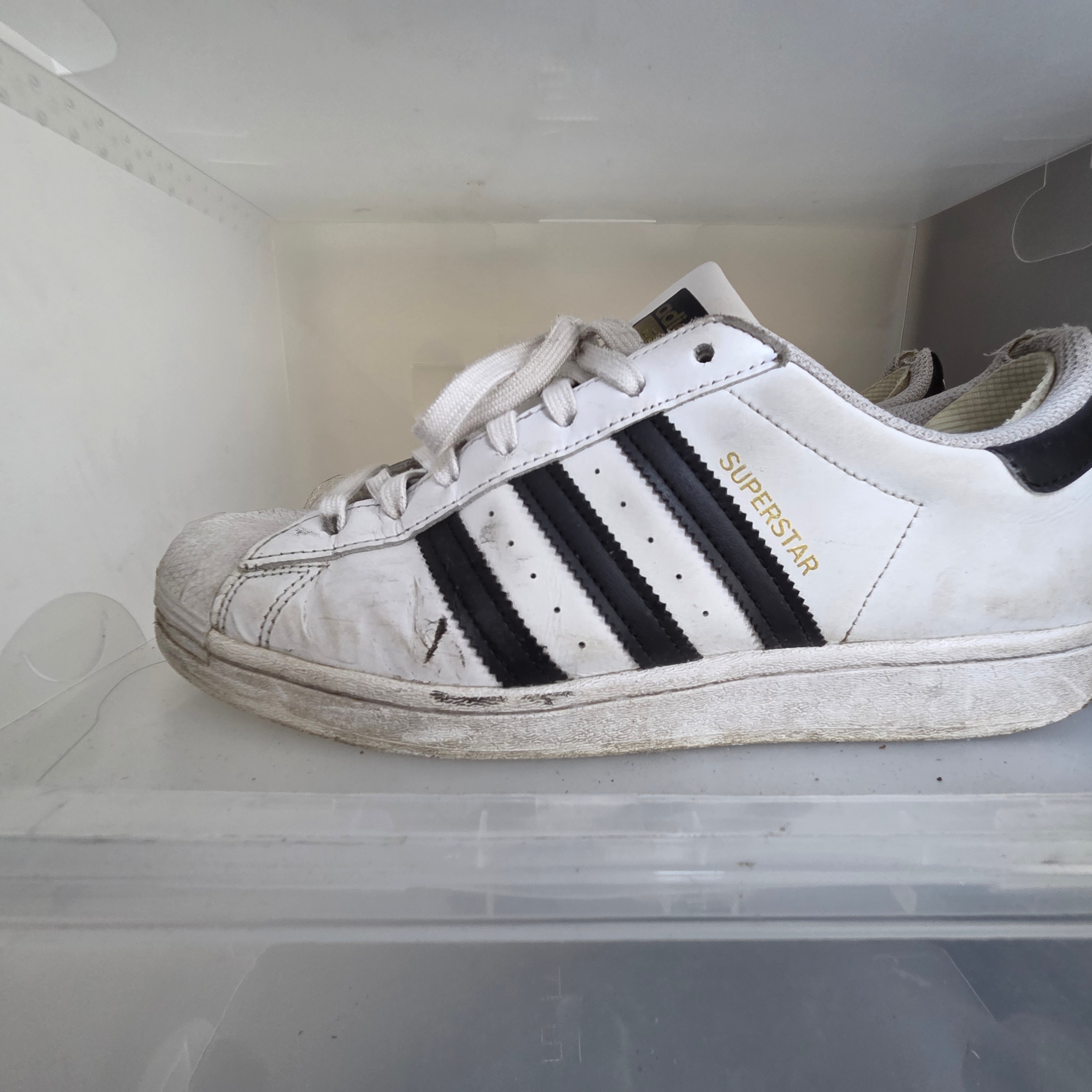 Adidas Superstar White Black 착용 스타일