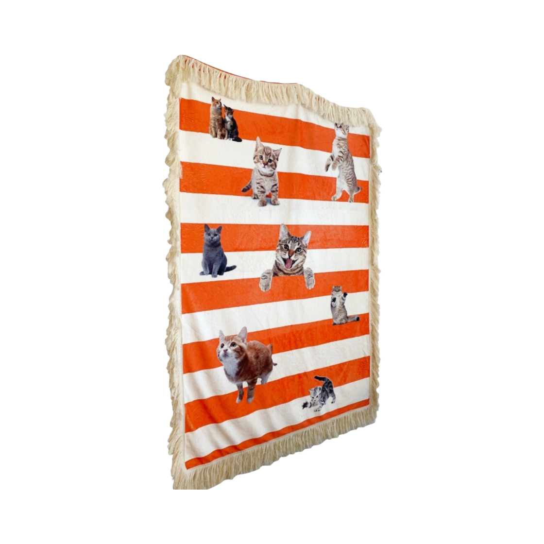 ylwblanket12323 [3% 포인트 적립] you like what Love cat stripe blanket Orange