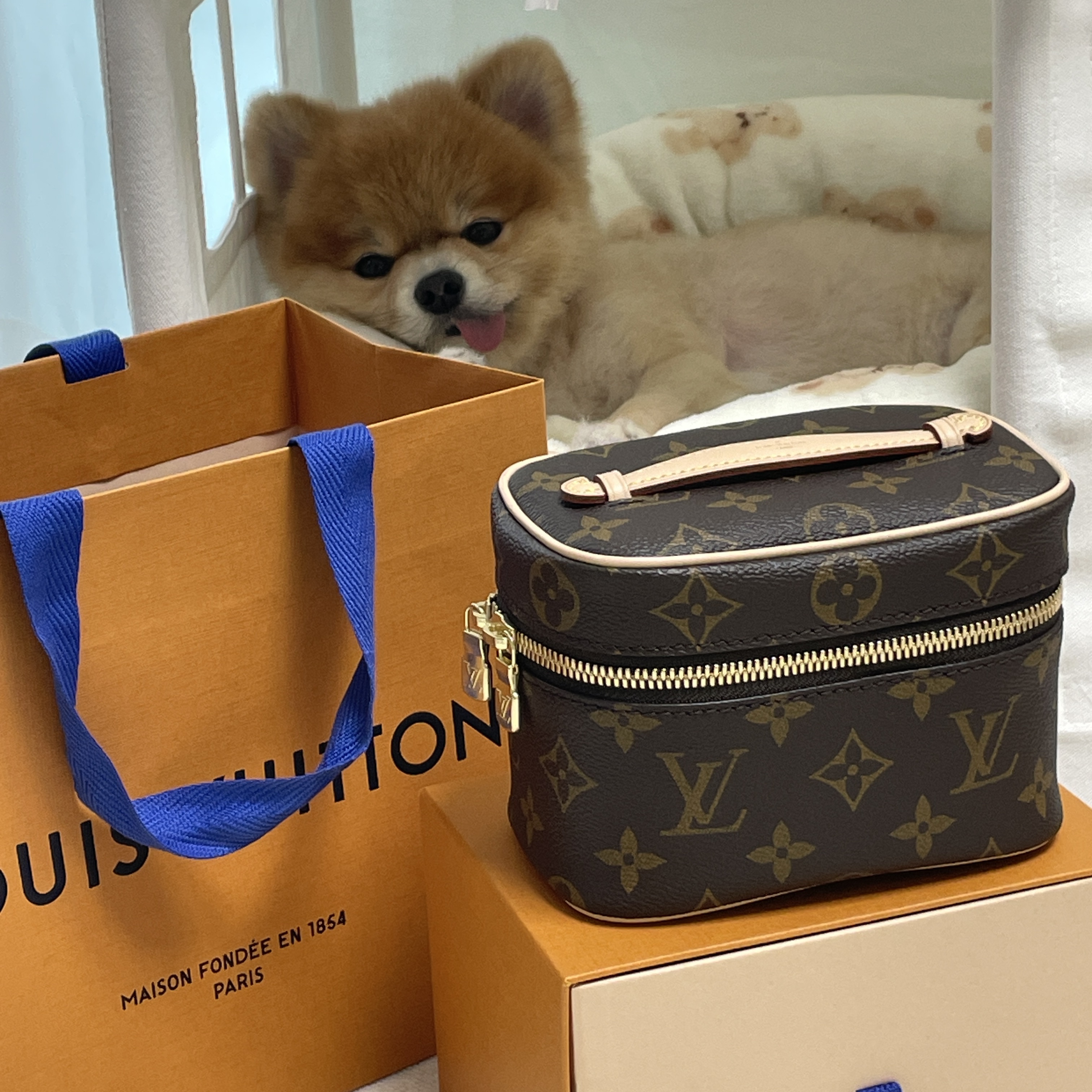 Louis Vuitton Nice Nano Toiletry Pouch Monogram 착용 스타일 - 3