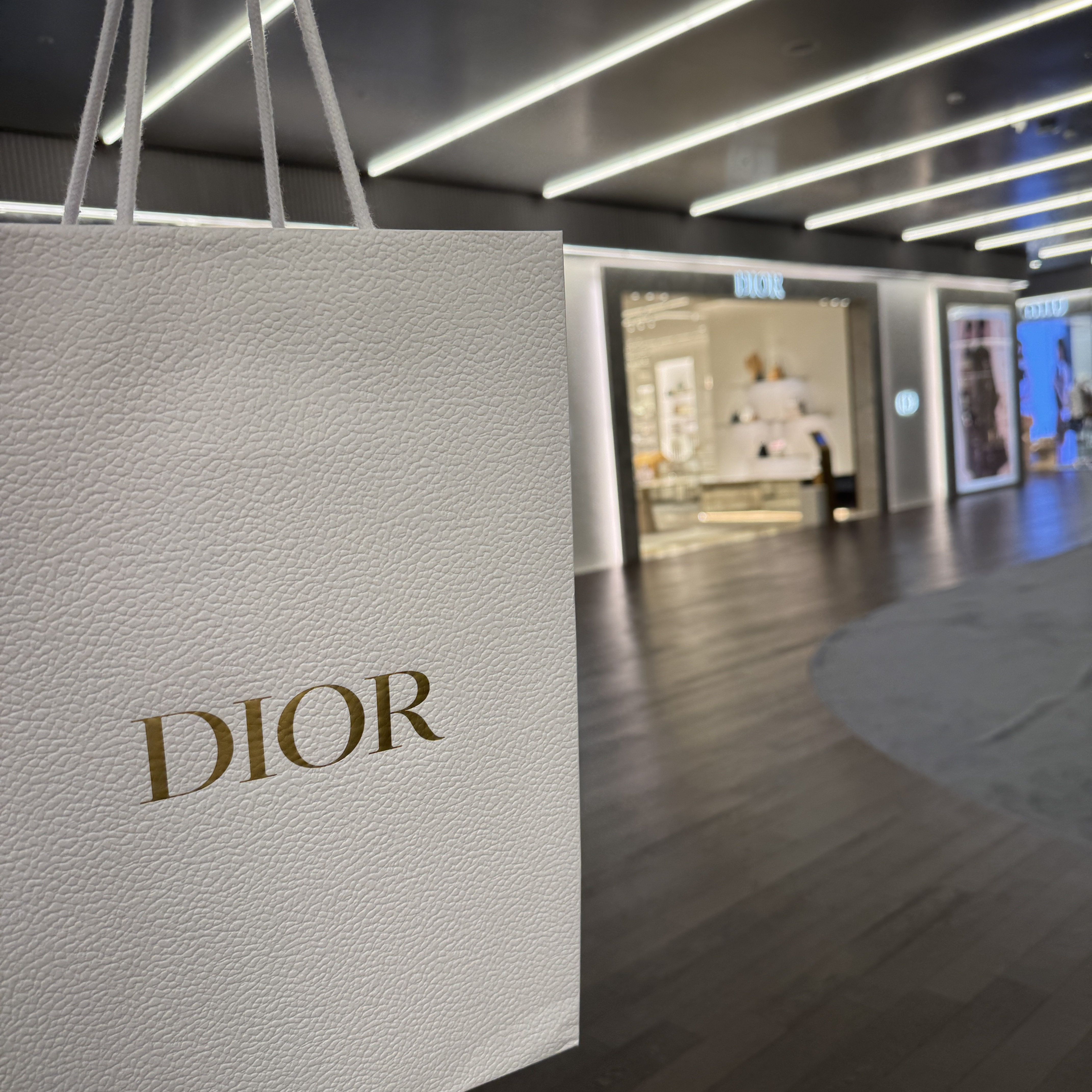 Dior Lady 5-Gusset Card Holder Patent Cannage Calfskin Black, Louis Vuitton Zippy Coin Purse Monogram 착용 스타일 - 1