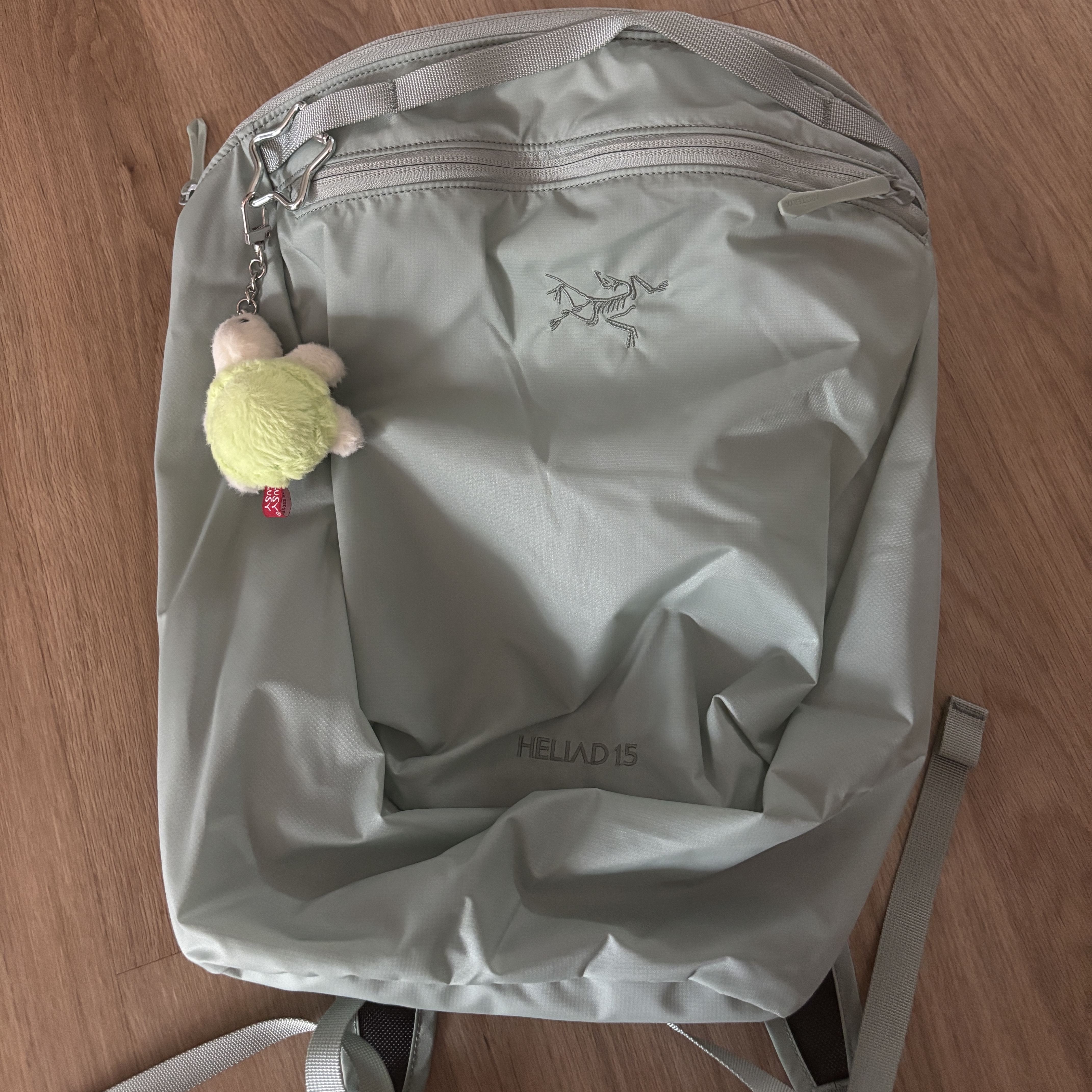 Arc'teryx Heliad 15 Backpack Stone Green 착용 스타일