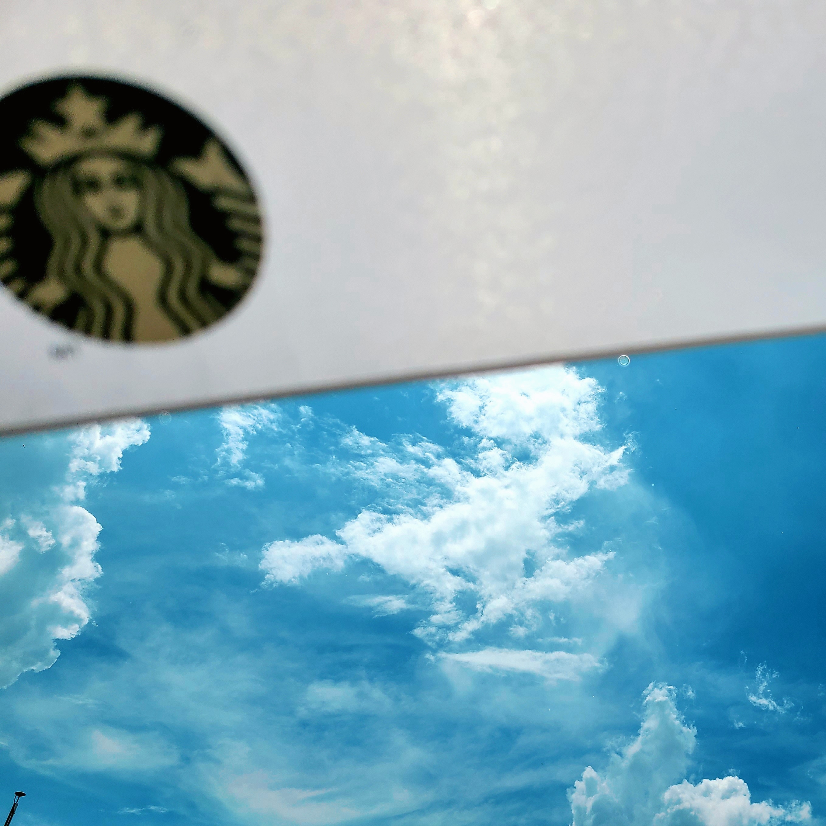 Starbucks Daily 3 Step Umbrella Apple Mint 착용 스타일 - 1
