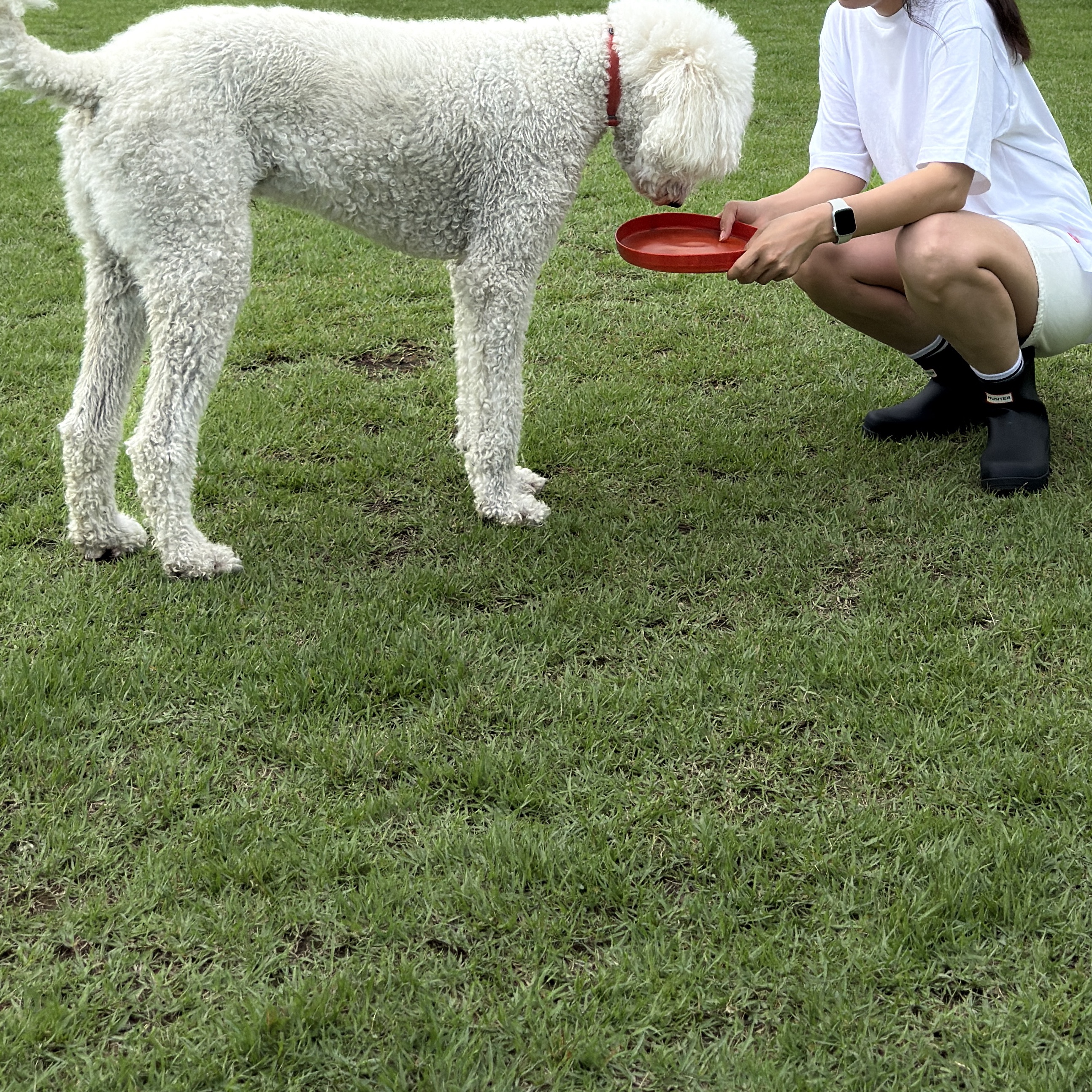(W) Hunter Play Short Rain Boots Black, Human Made T-Shirts White (3 Pack) 착용 스타일 - 1