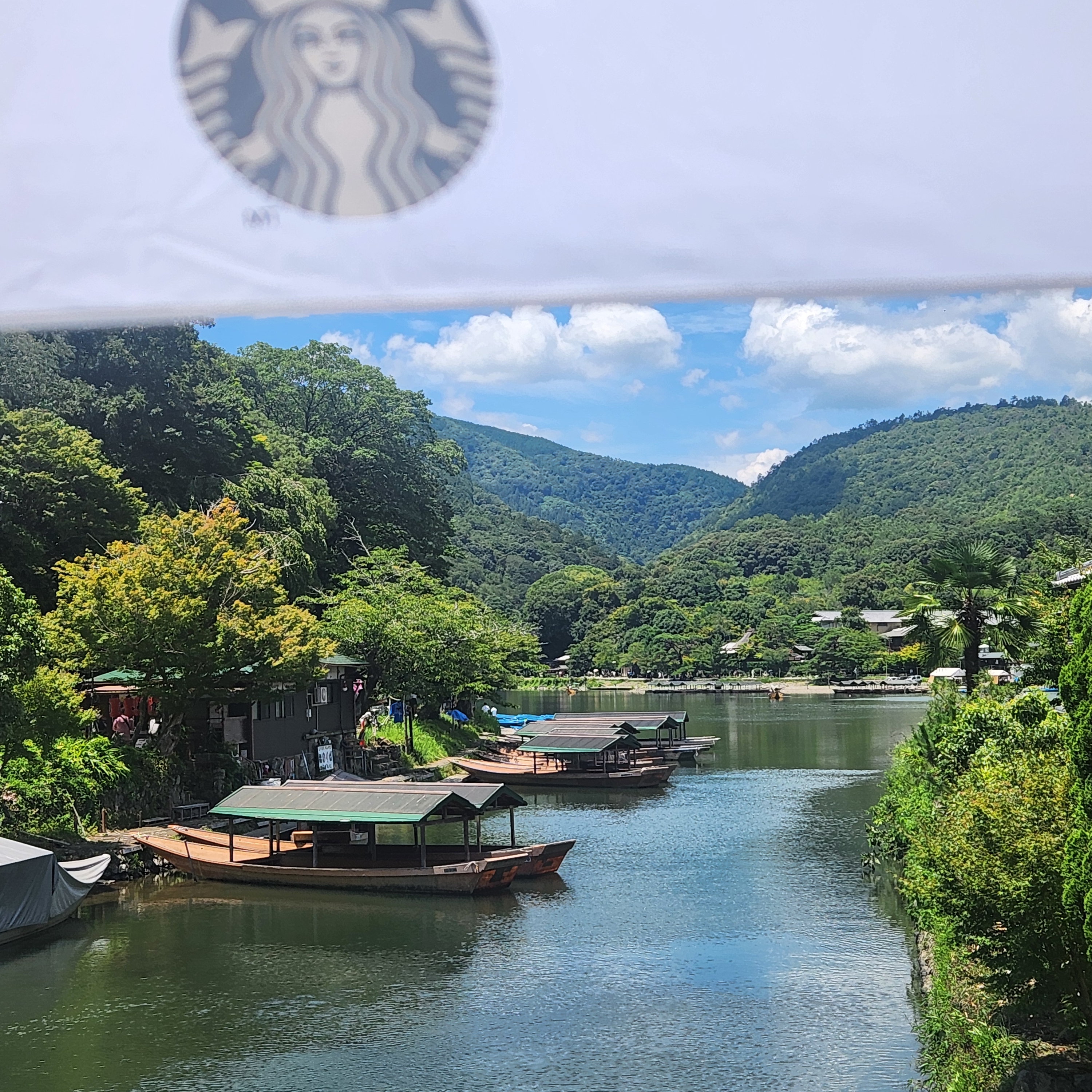 Starbucks Daily 3 Step Umbrella Apple Mint 착용 스타일 - 1