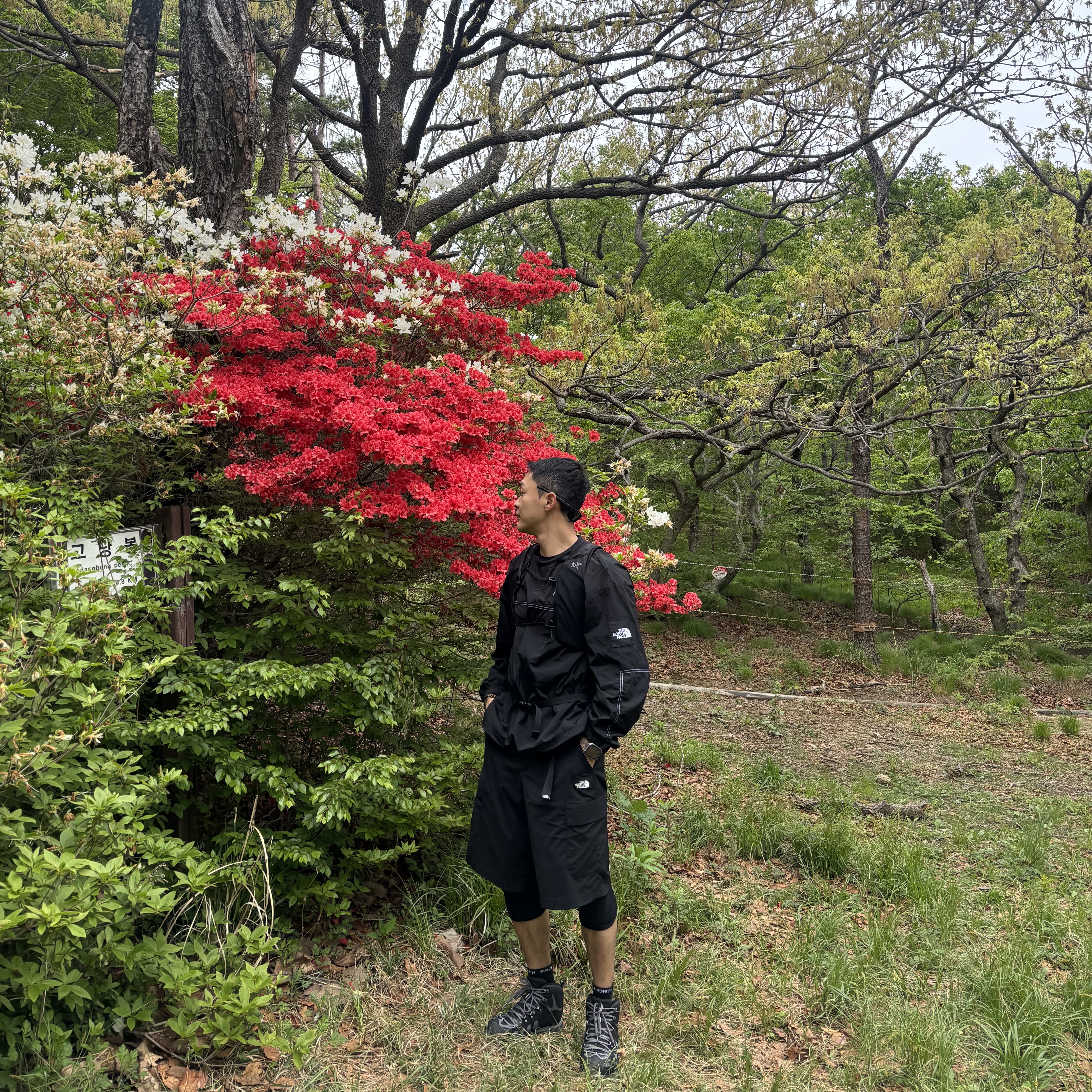 The North Face Albany Crewneck Black - 25SS, The North Face Bermuda Shorts Black - 25SS 착용 스타일