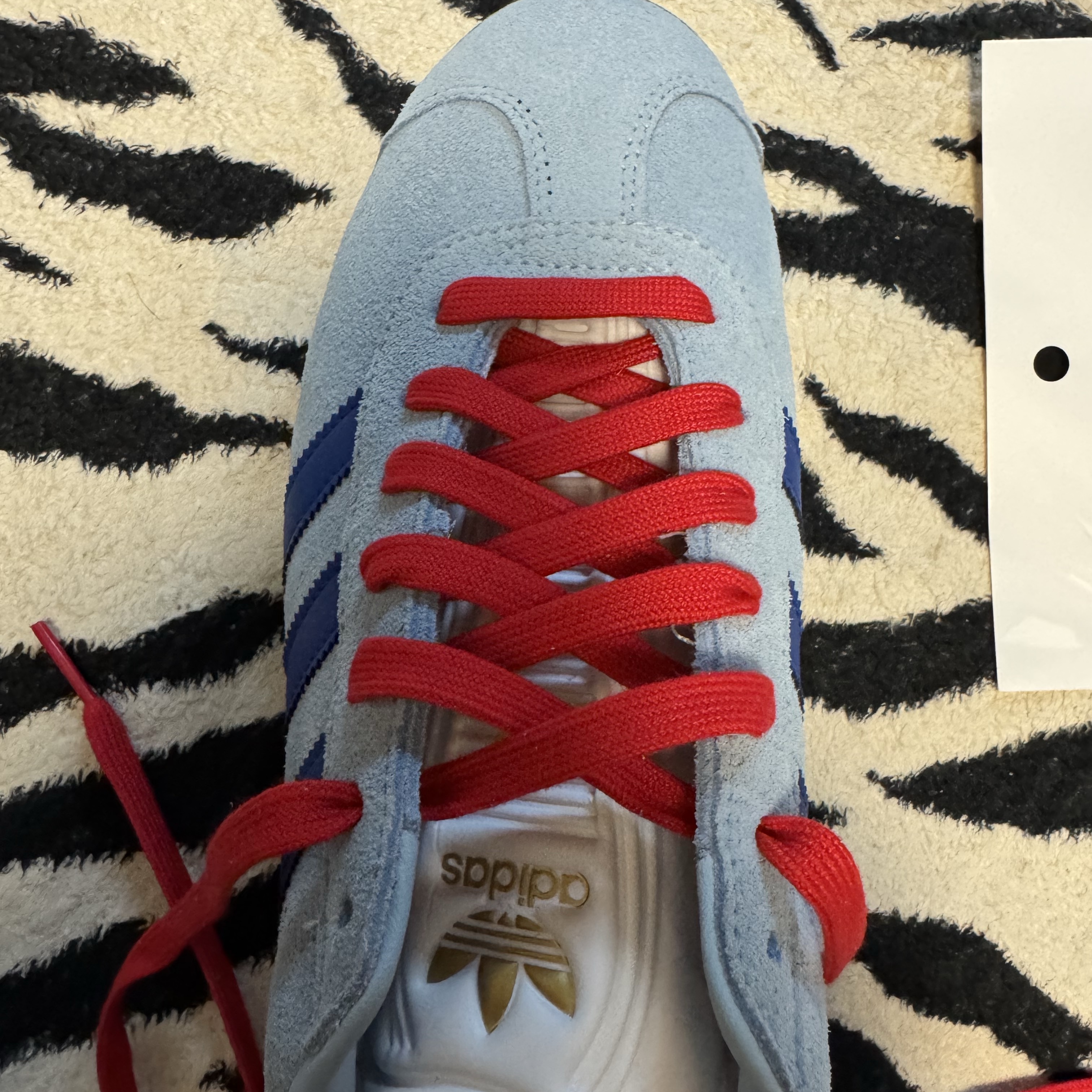 Adidas Gazelle Spikeless Golf Shoes Clear Sky Royal Blue 착용 스타일 - 3