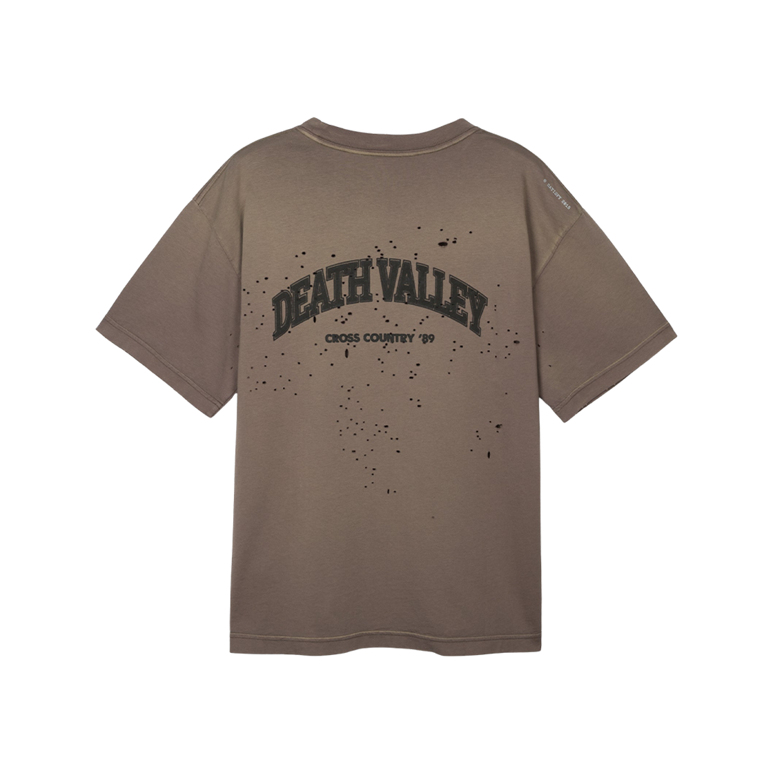 새티스파이 10주년 기념 모스테크 티셔츠 선 블리치드 팔콘(Satisfy 10th Anniversary Mothtech T-Shirt Sun Bleached Falcon) - 2