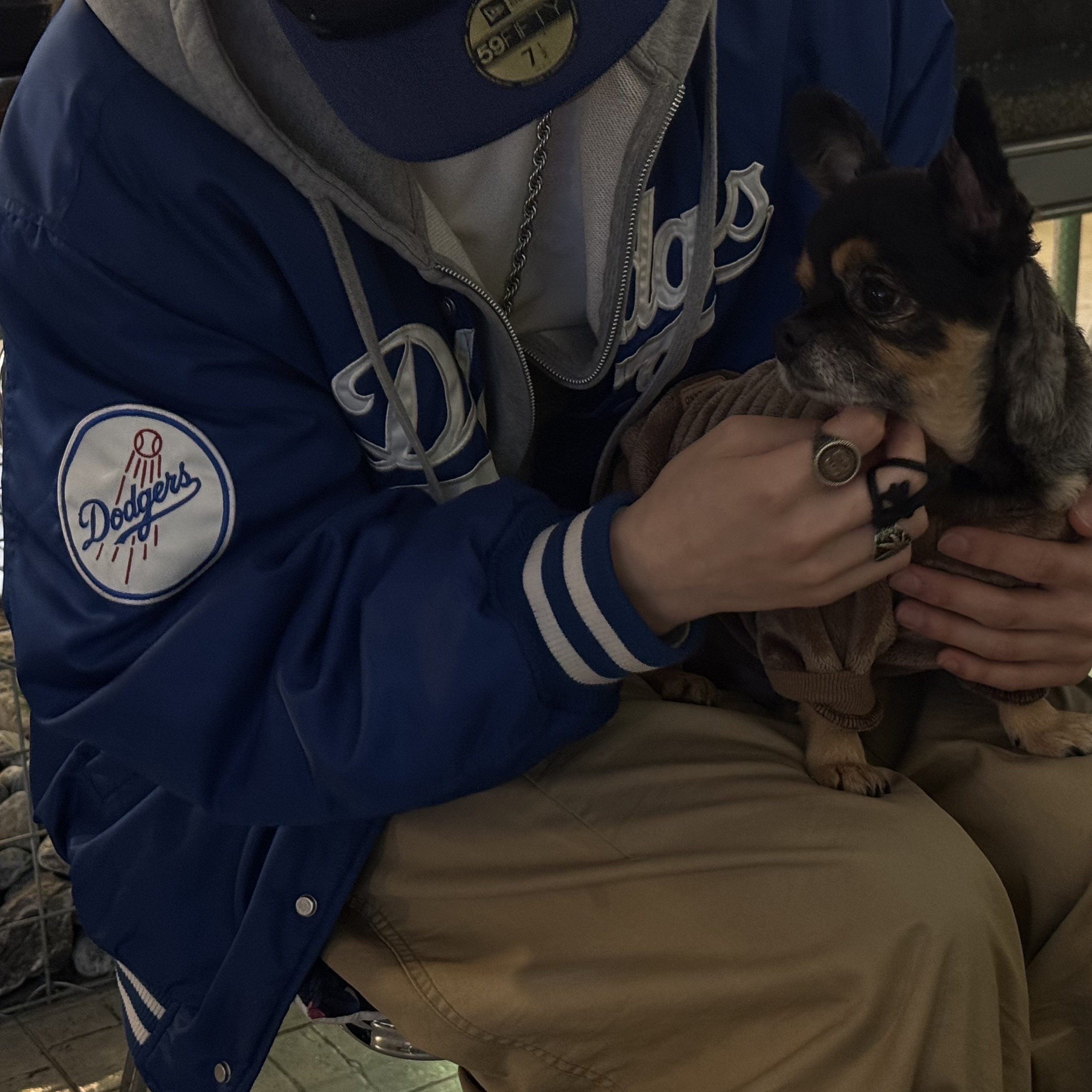 New Era MLB Seoul Series LA Dodgers Nylon Jacket Blue, Needles H.D. Military Pants Khaki 착용 스타일 - 6