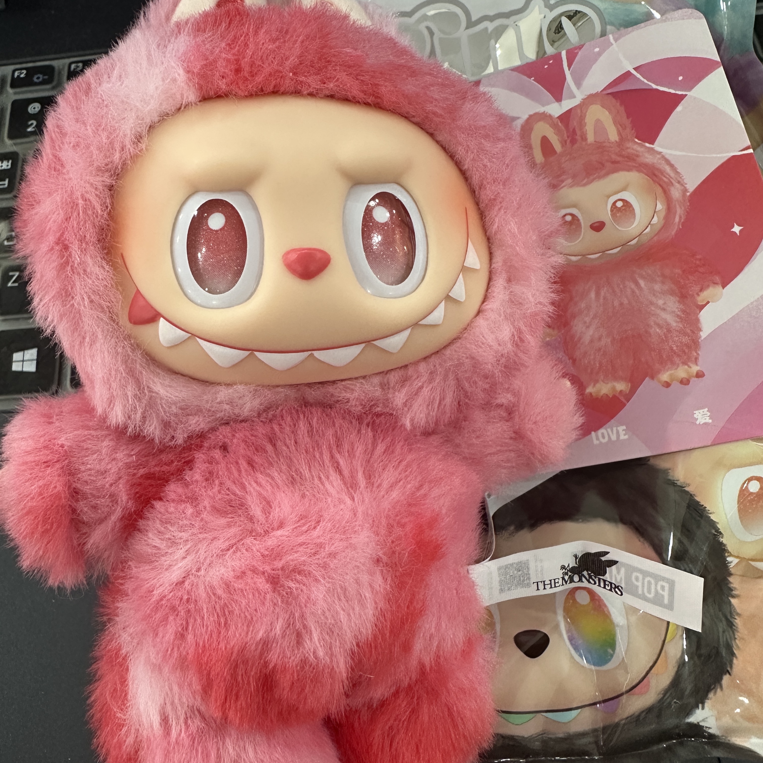 Pop Mart Labubu The Monsters Highlight Series Sealed Case (1 Blind Box) 착용 스타일