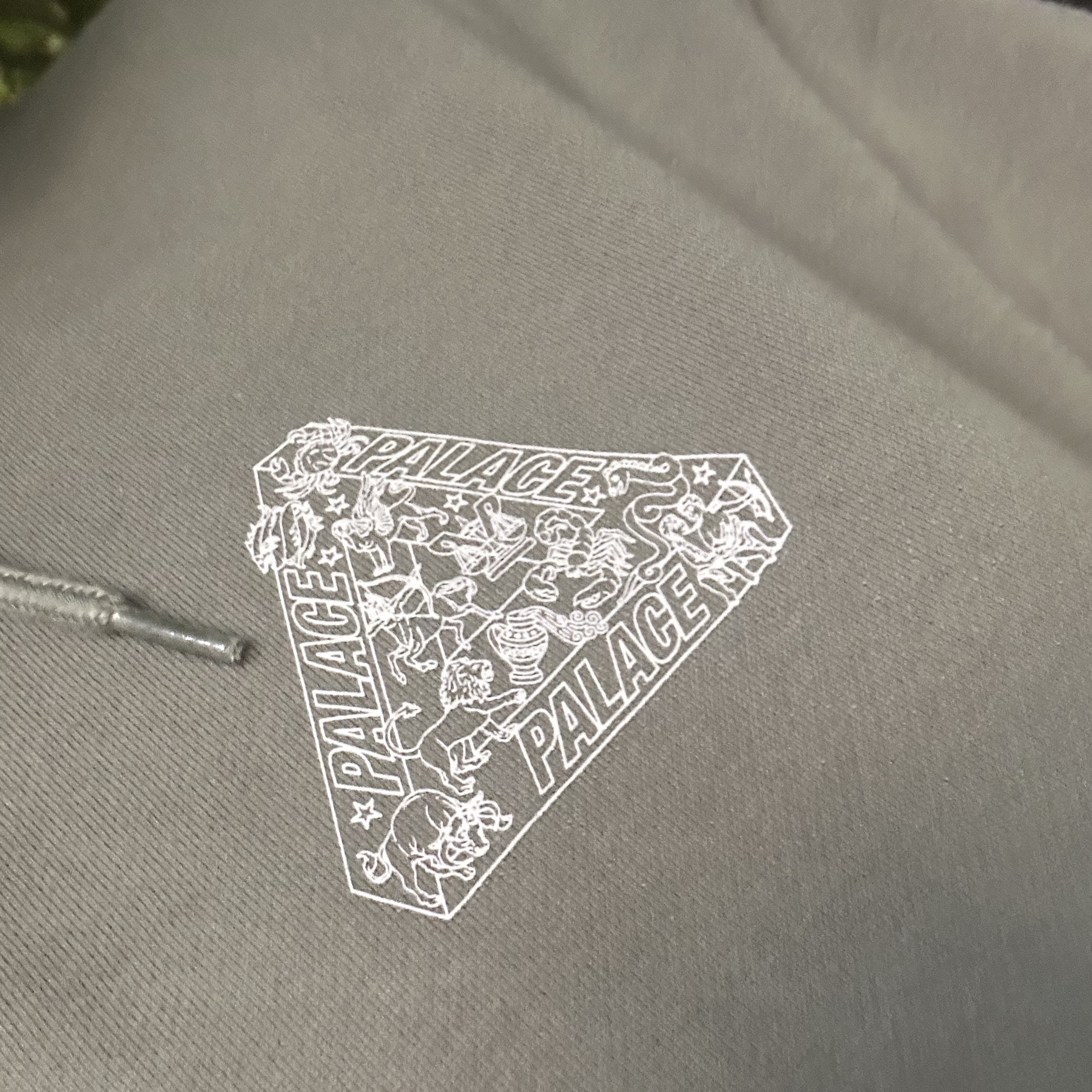 Palace Zodiac Tri-Ferg Hood The Deep Green - 25SS 착용 스타일 - 2