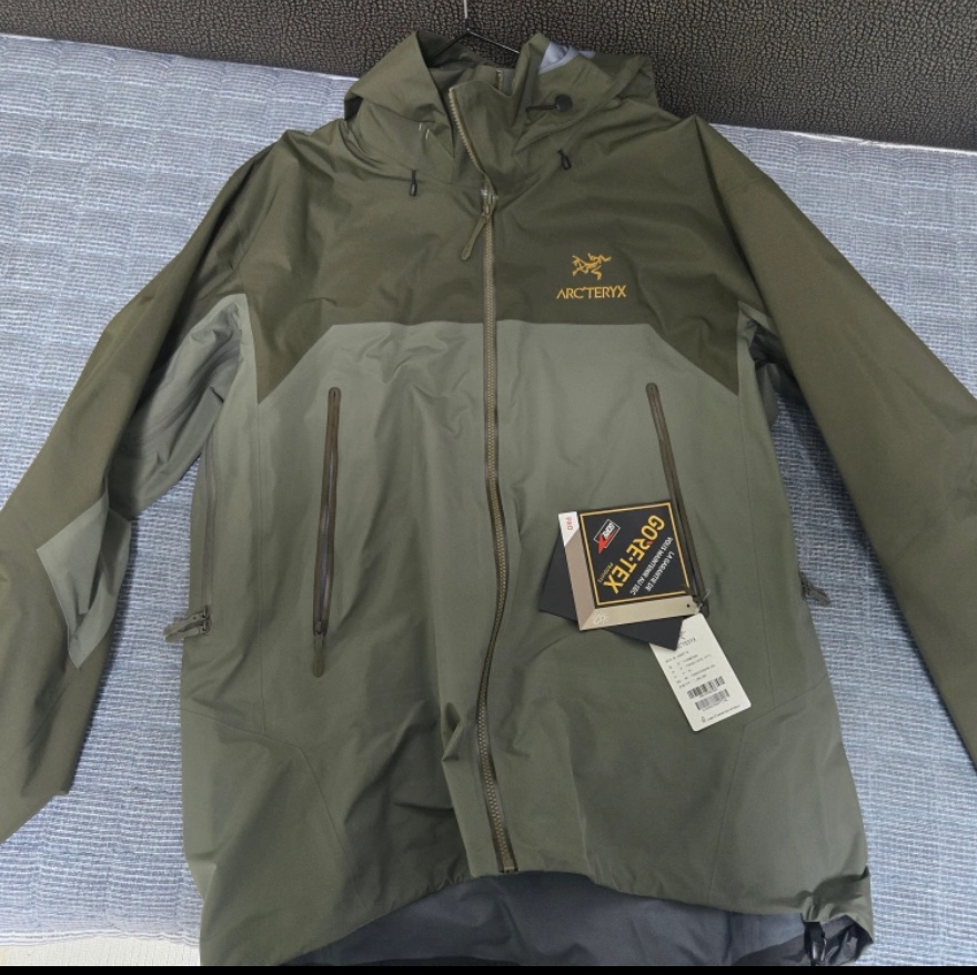 Arc'teryx Beta AR Jacket Forage Tatsu 착용 스타일
