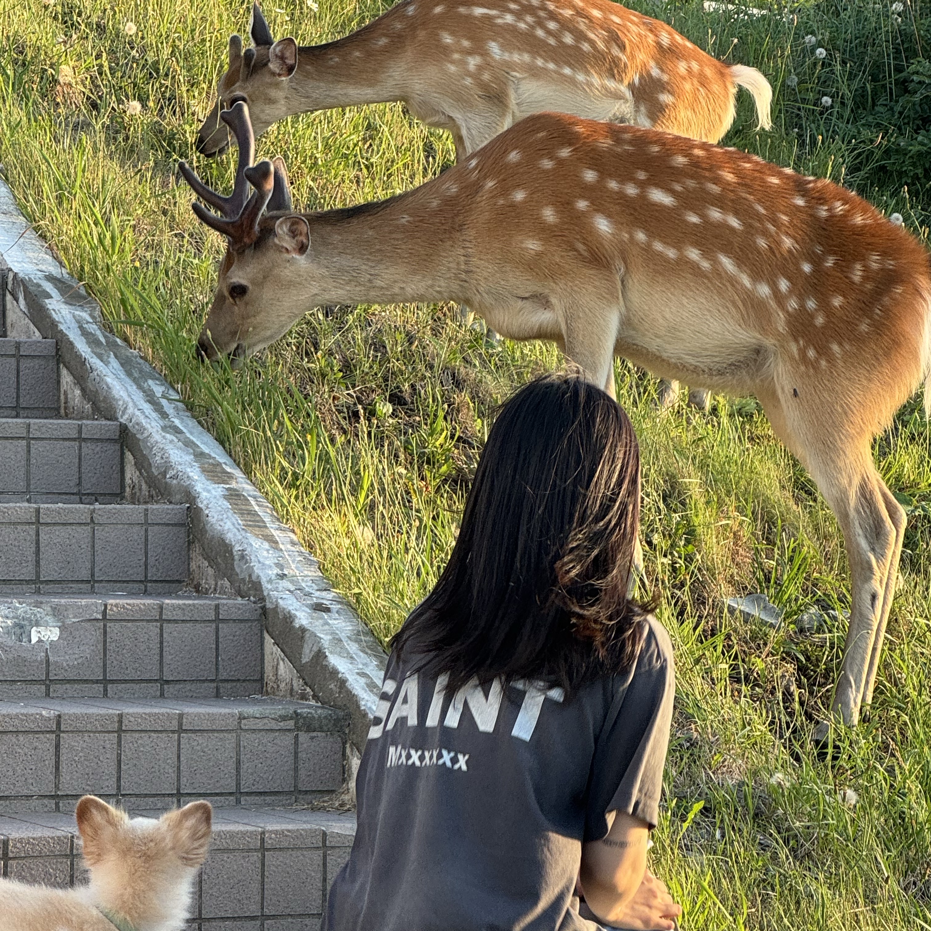 Saint Mxxxxxx x Evangelion Neon S/S T-Shirt Black 착용 스타일 - 2