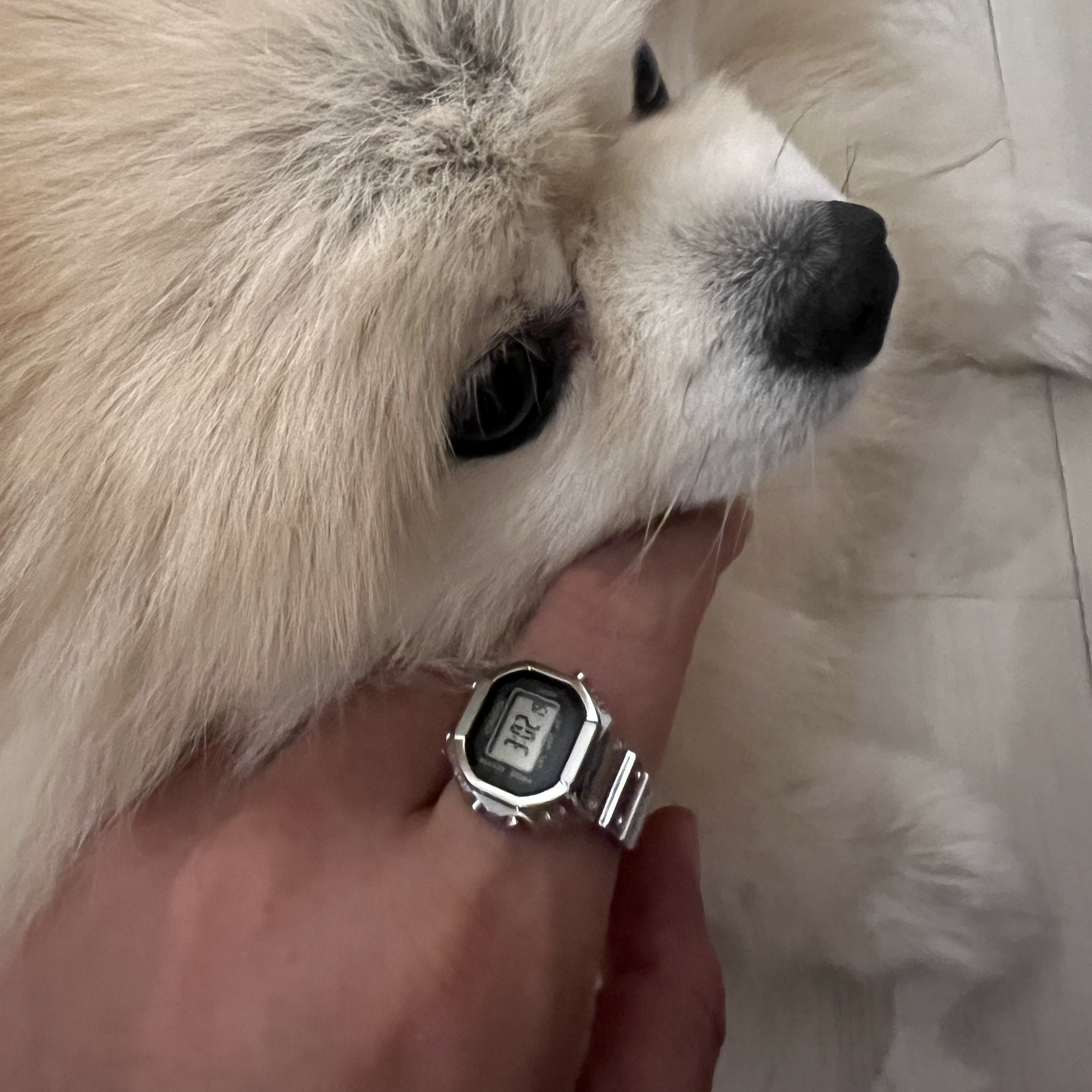 Casio 50th Anniversary Ring Watch CRW-001-1 착용 스타일