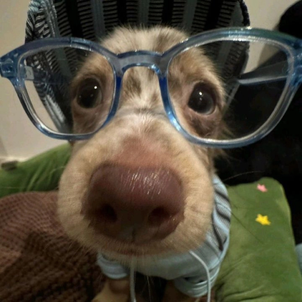 관심 유저 프로필 이미지