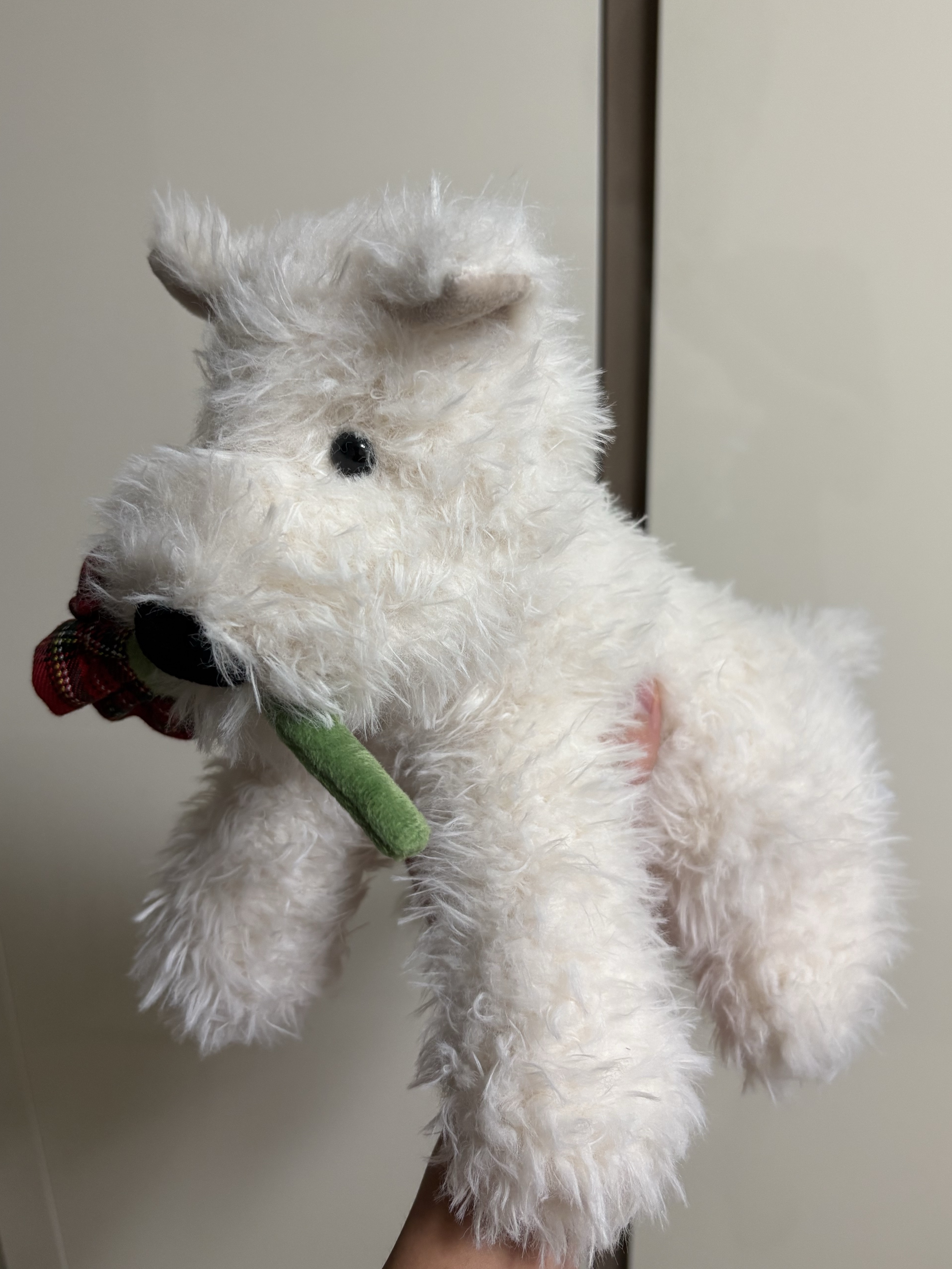 Jellycat Munro Scottie Dog 'Love You' Cream 착용 스타일 - 3