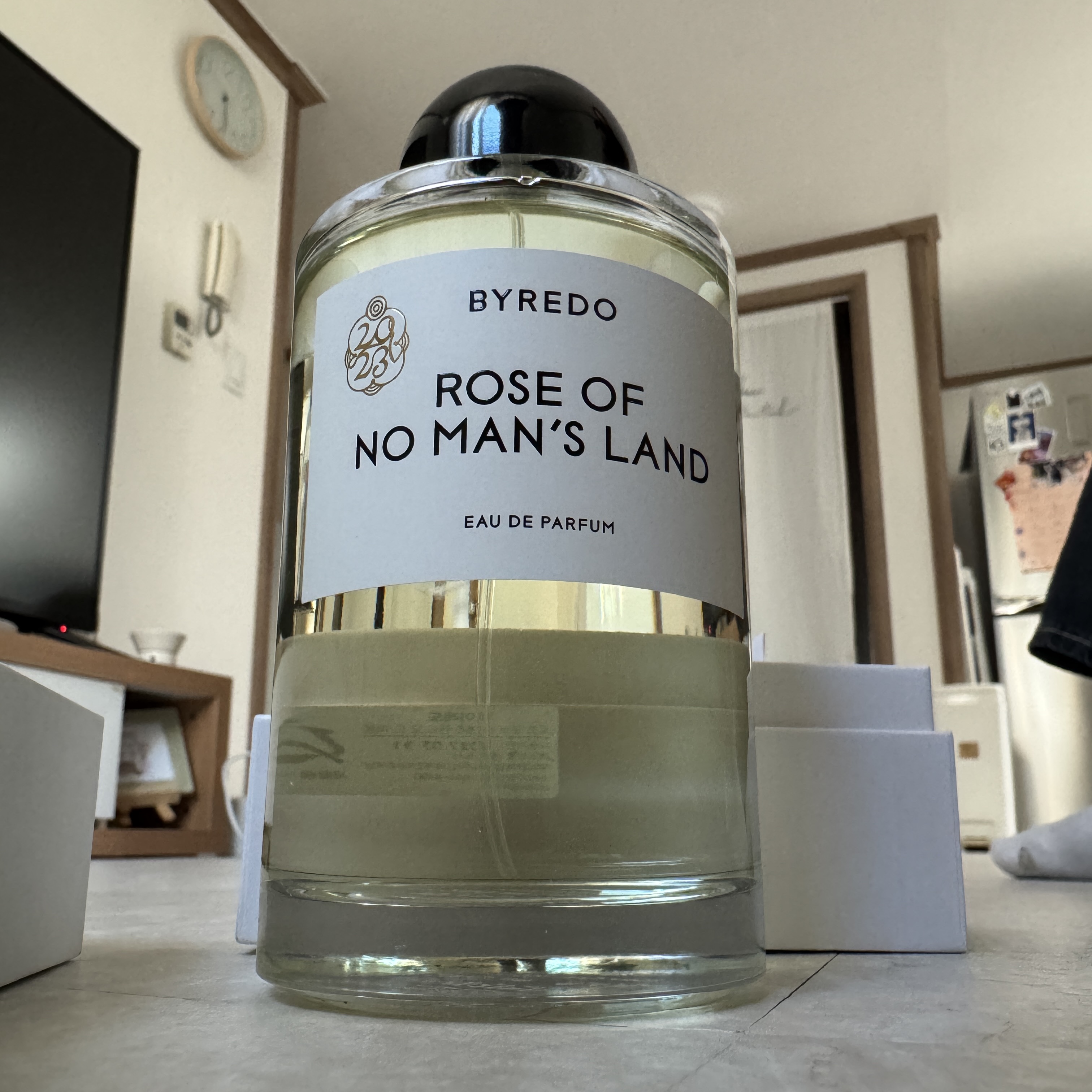 Byredo Rose of No Man's Land Eau De Parfum 250ml 착용 스타일 - 10