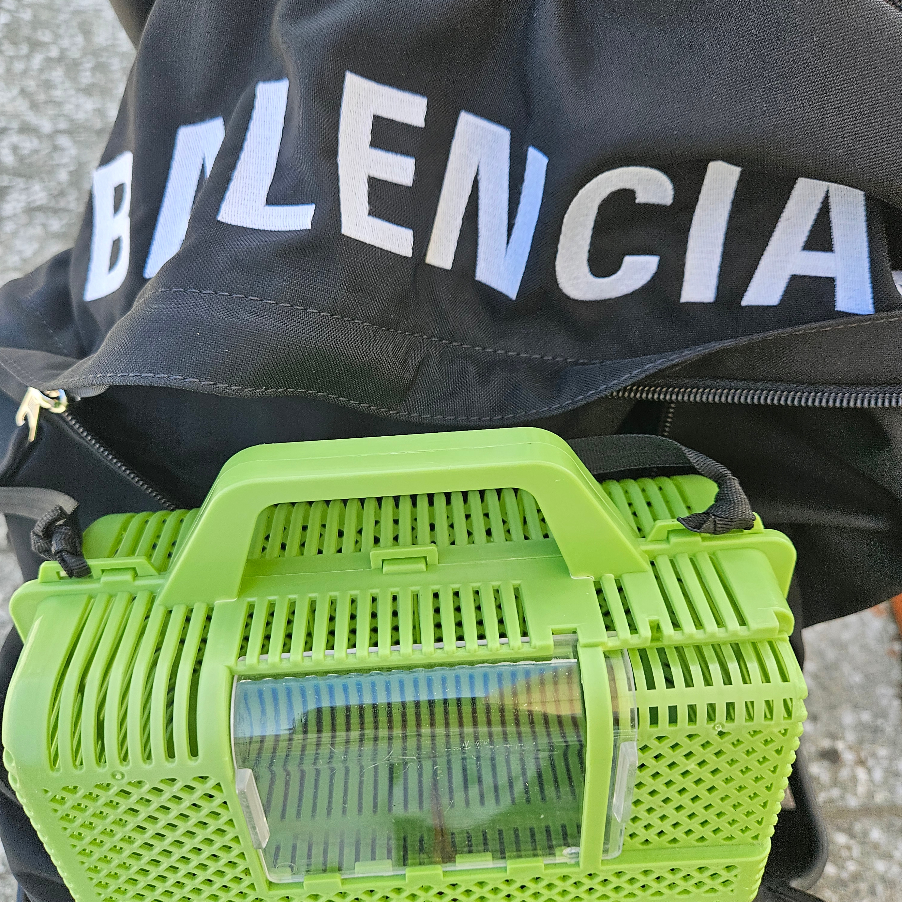 Supreme Small Box T-Shirt Snake - 24SS, Adidas Adimule Slide Red 착용 스타일 - 3