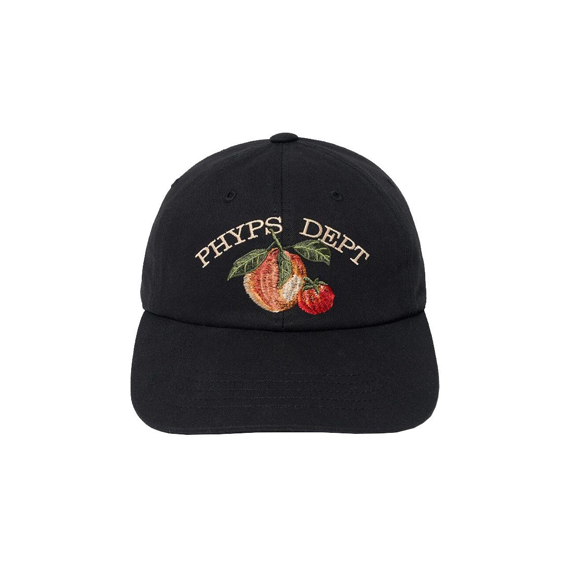 PFX2CA301ABK Phyps Dept Vintage Fruit Cap Black