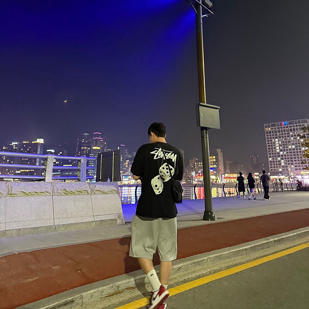 Stussy Fuzzy Dice T-Shirt Black, Jordan 1 Low Golf Chicago 착용 스타일
