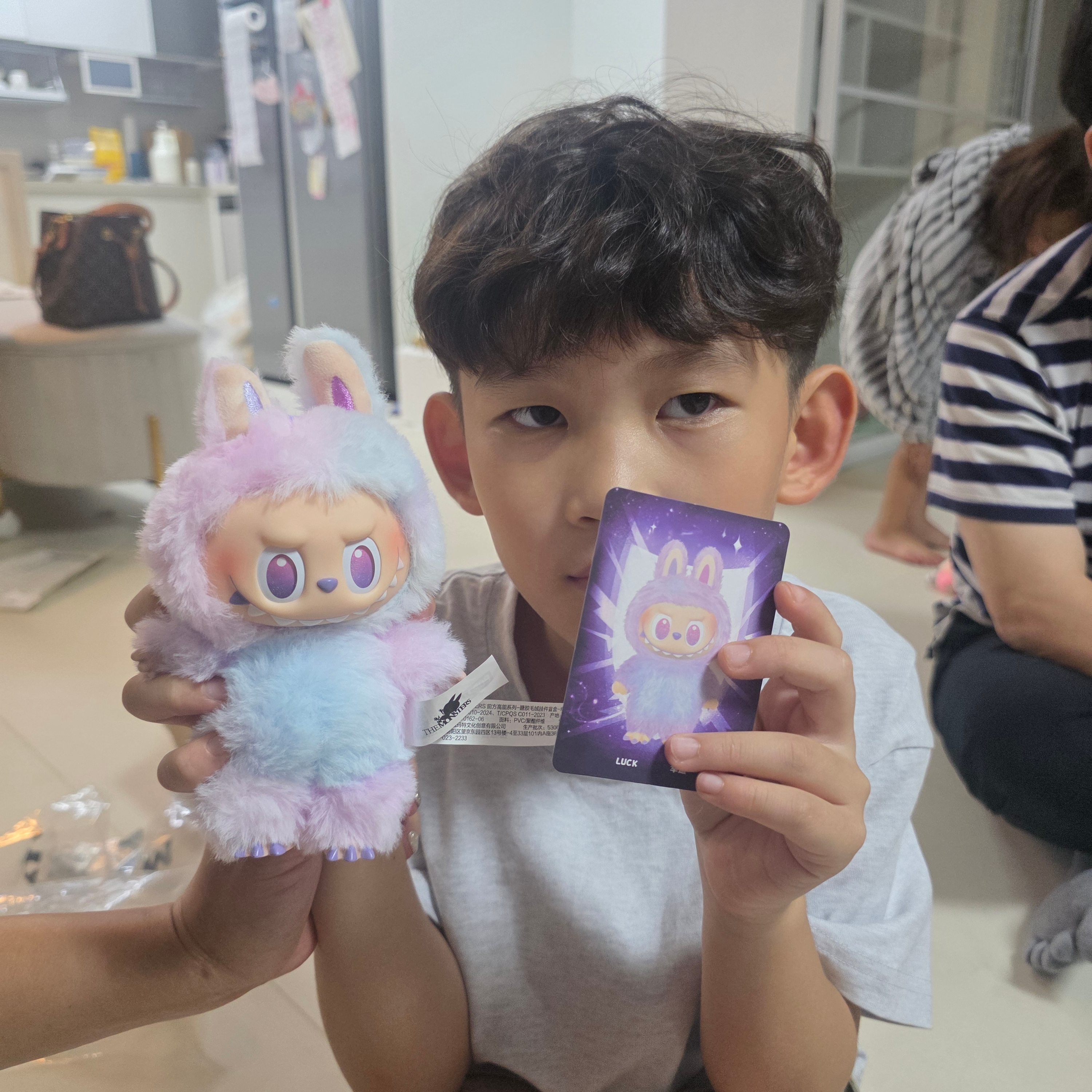 Pop Mart Labubu The Monsters Highlight Series Sealed Case (Bundle of 2/1 Blind Box) 착용 스타일 - 2