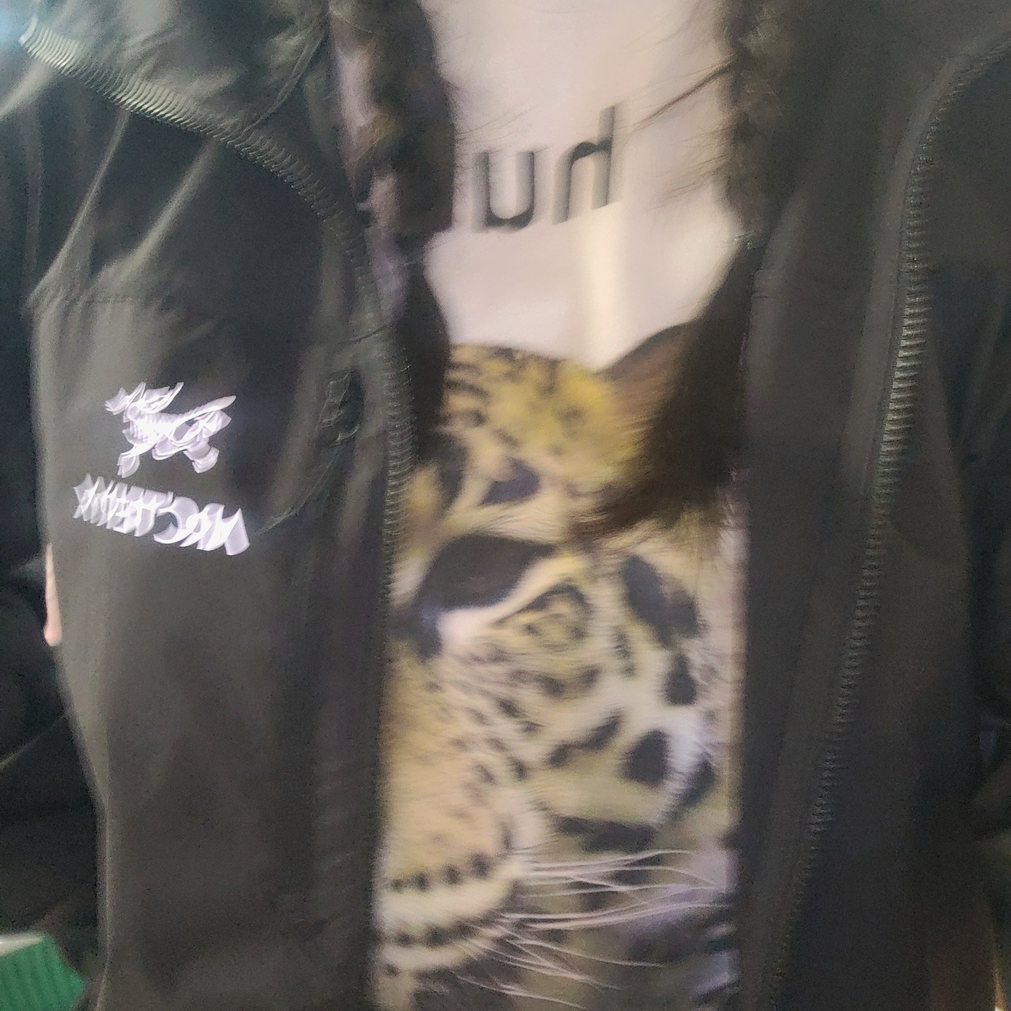 Arc'teryx Squamish Hoody Black, Suade Huh Leopard Tee White 착용 스타일