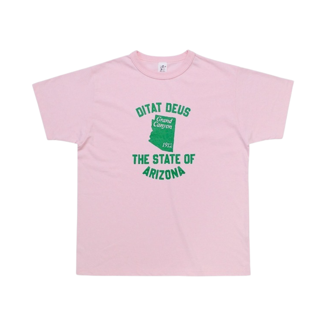 컬렉트 피시스 아리조나 티셔츠 핑크(Collect Pieces Arizona T-Shirt Pink)