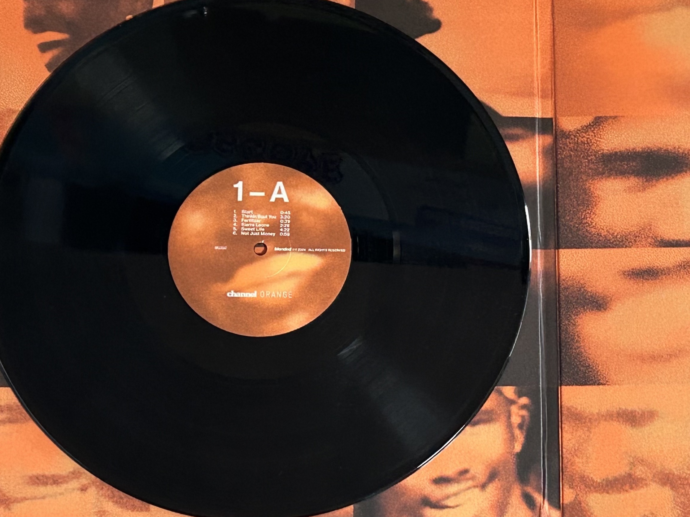 Frank Ocean 1st Album Channel Orange LP Black (2LP) 착용 스타일 - 3