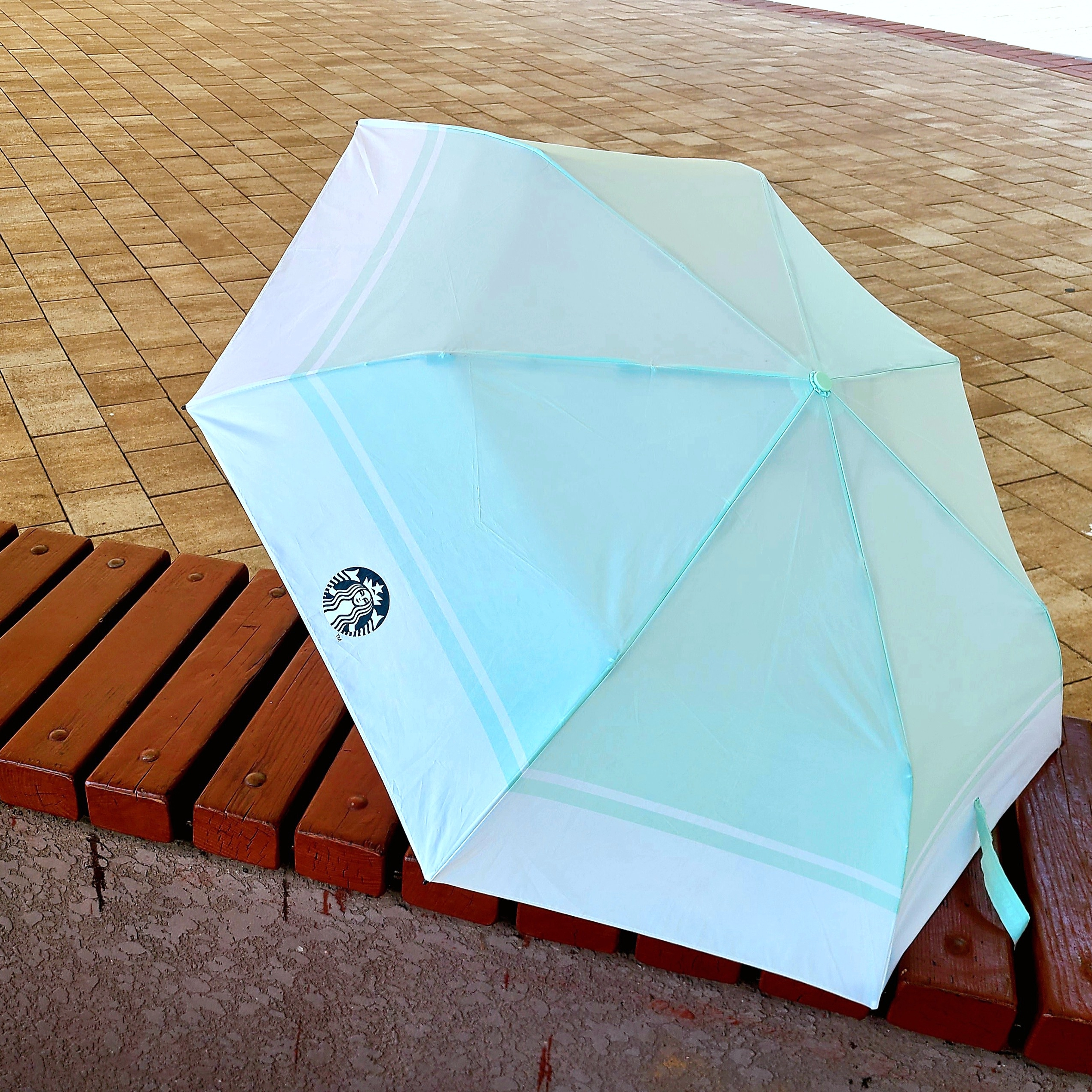 Starbucks Daily 3 Step Umbrella Apple Mint 착용 스타일 - 2