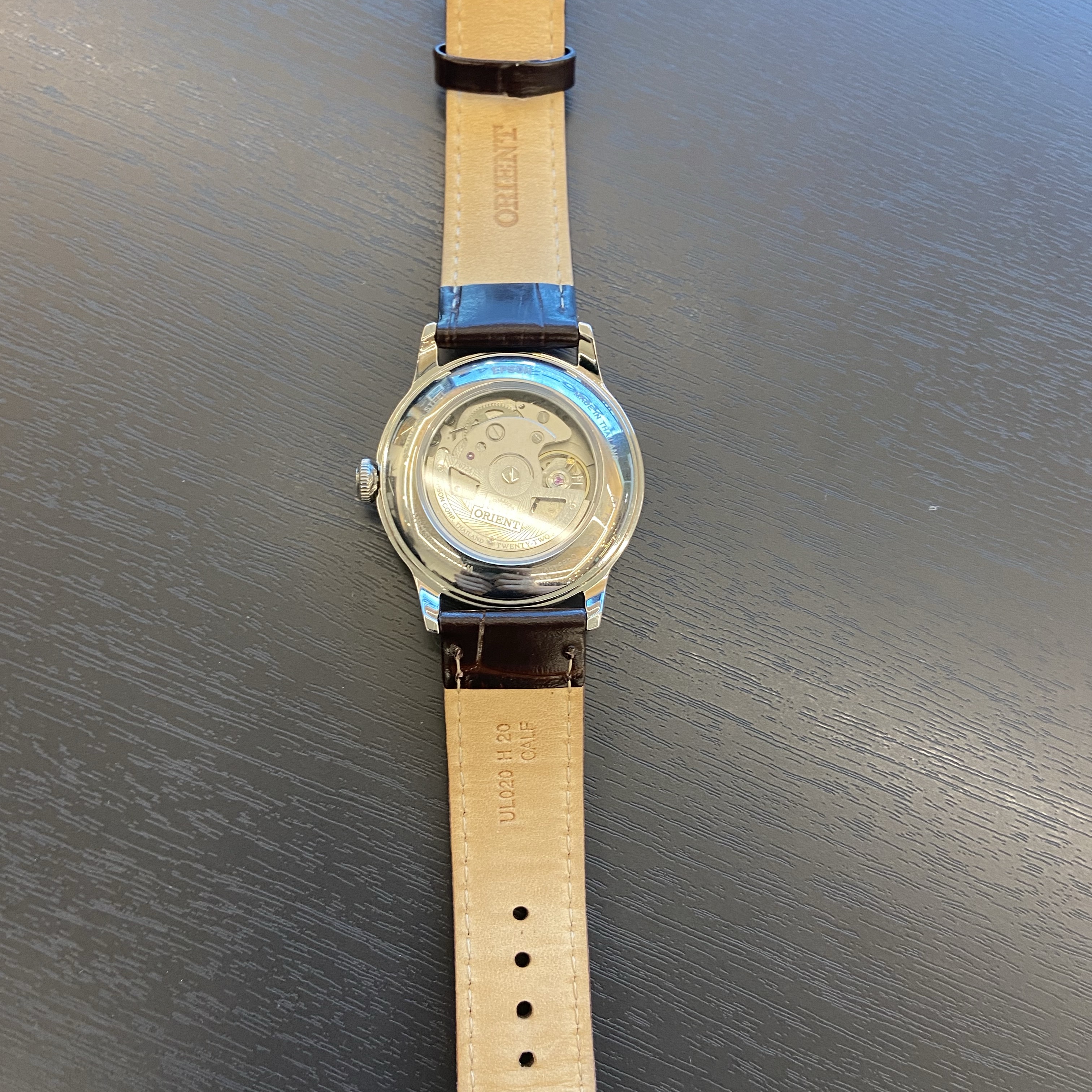 Orient Bambino 38mm Automatic Stainless Steel Leather Brown Beige Dial 착용 스타일 - 1